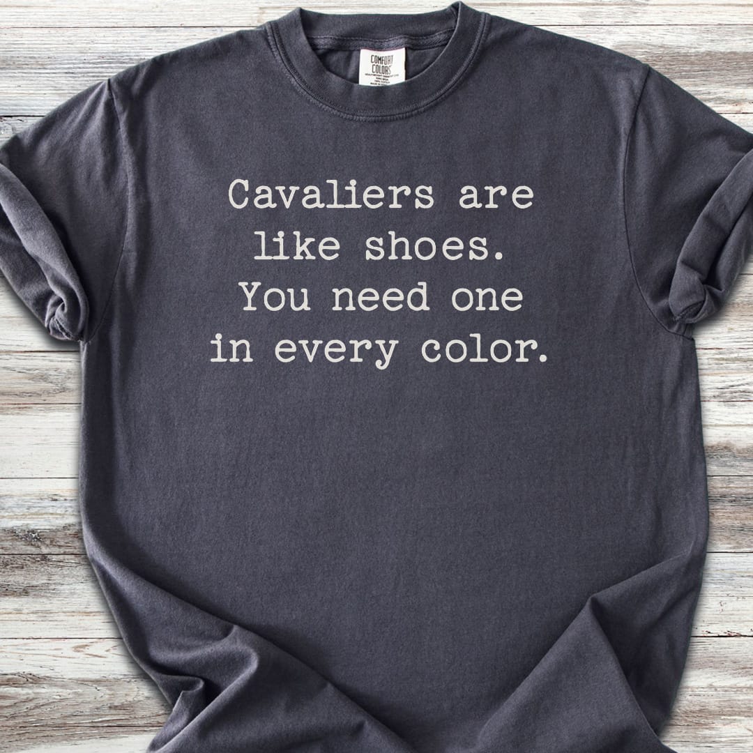 Cavalier King Charles Every Color - Graphite