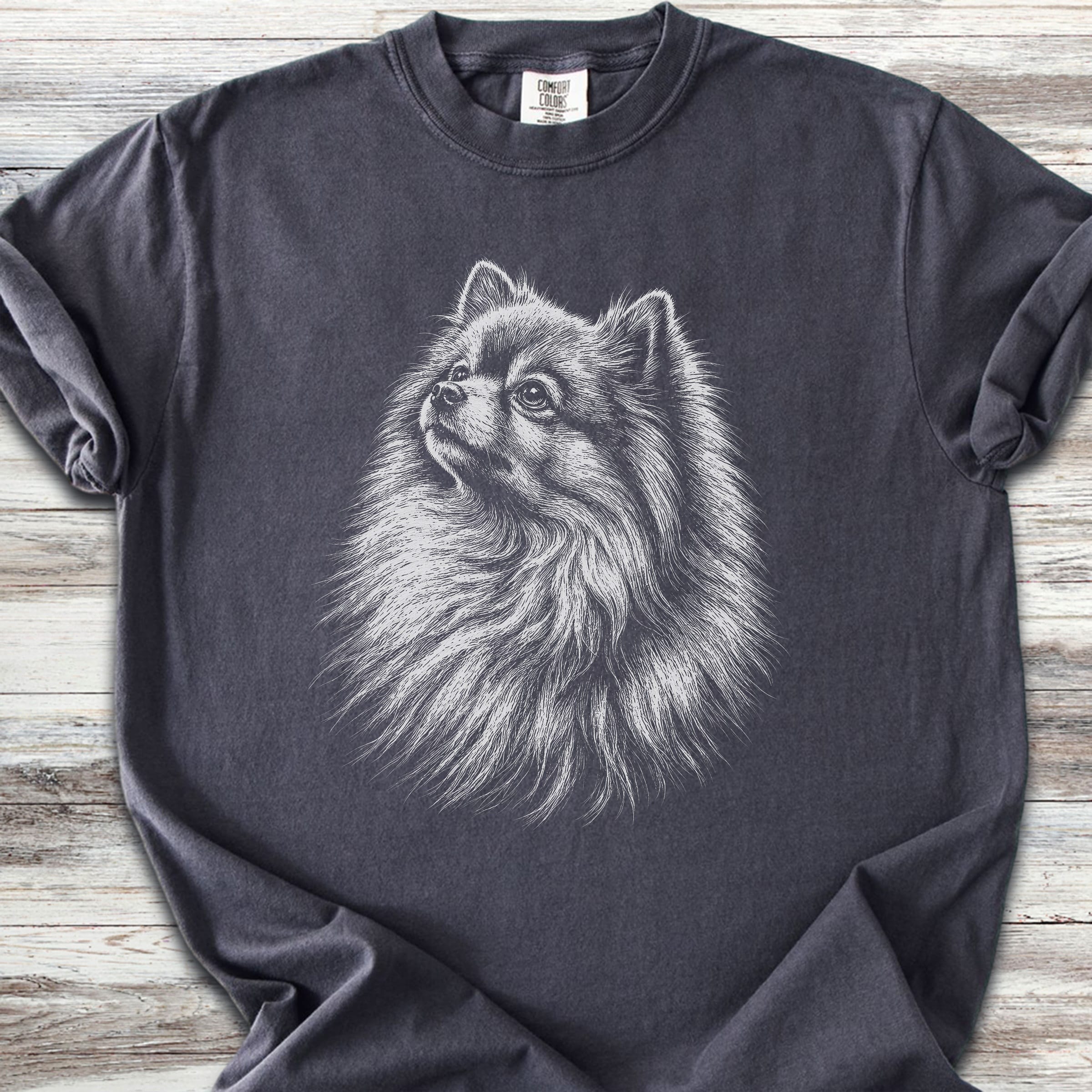 Pomeranian Loyalty - Graphite