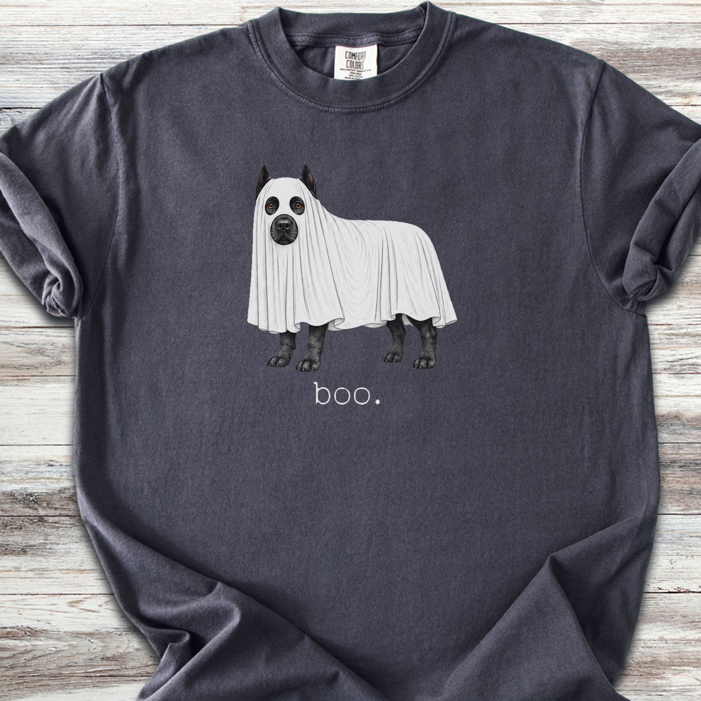 Cane Corso Boo - Graphite