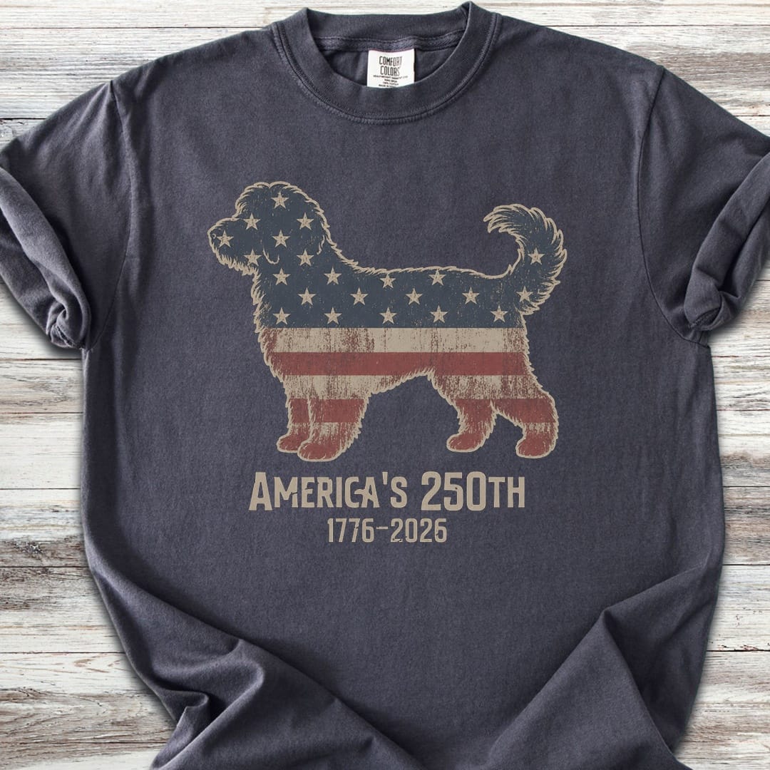 Aussiedoodle 250 - Graphite