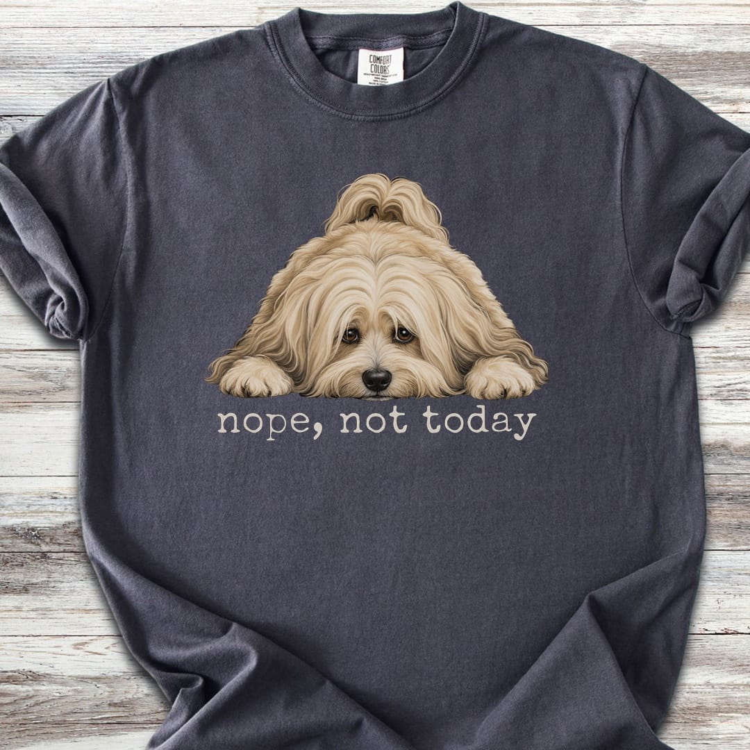 Havanese Nope - Graphite