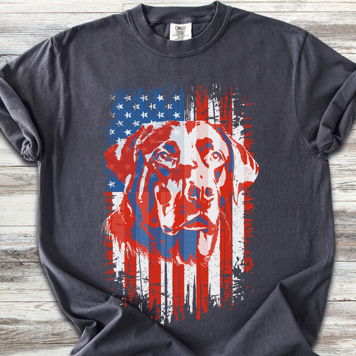 Labrador Retriever USA - Graphite