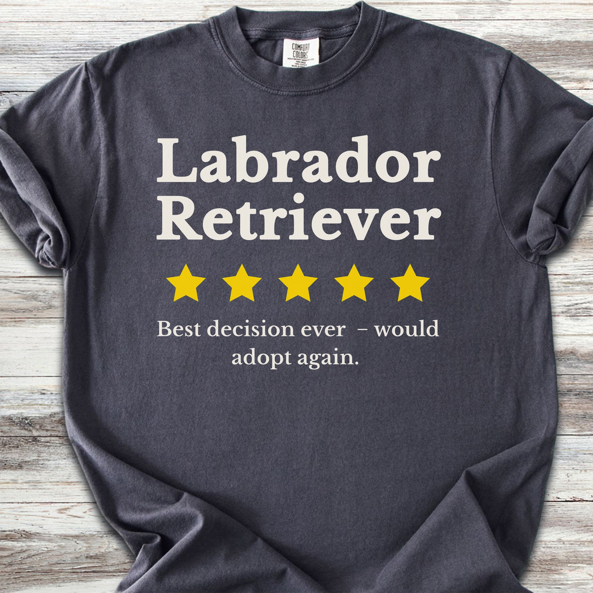 Labrador Retriever Review - Graphite