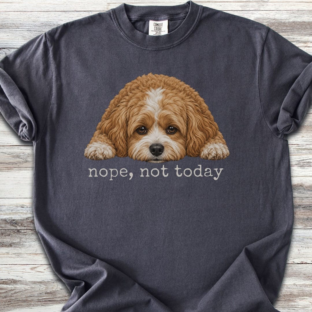 Cavapoo Nope - Graphite