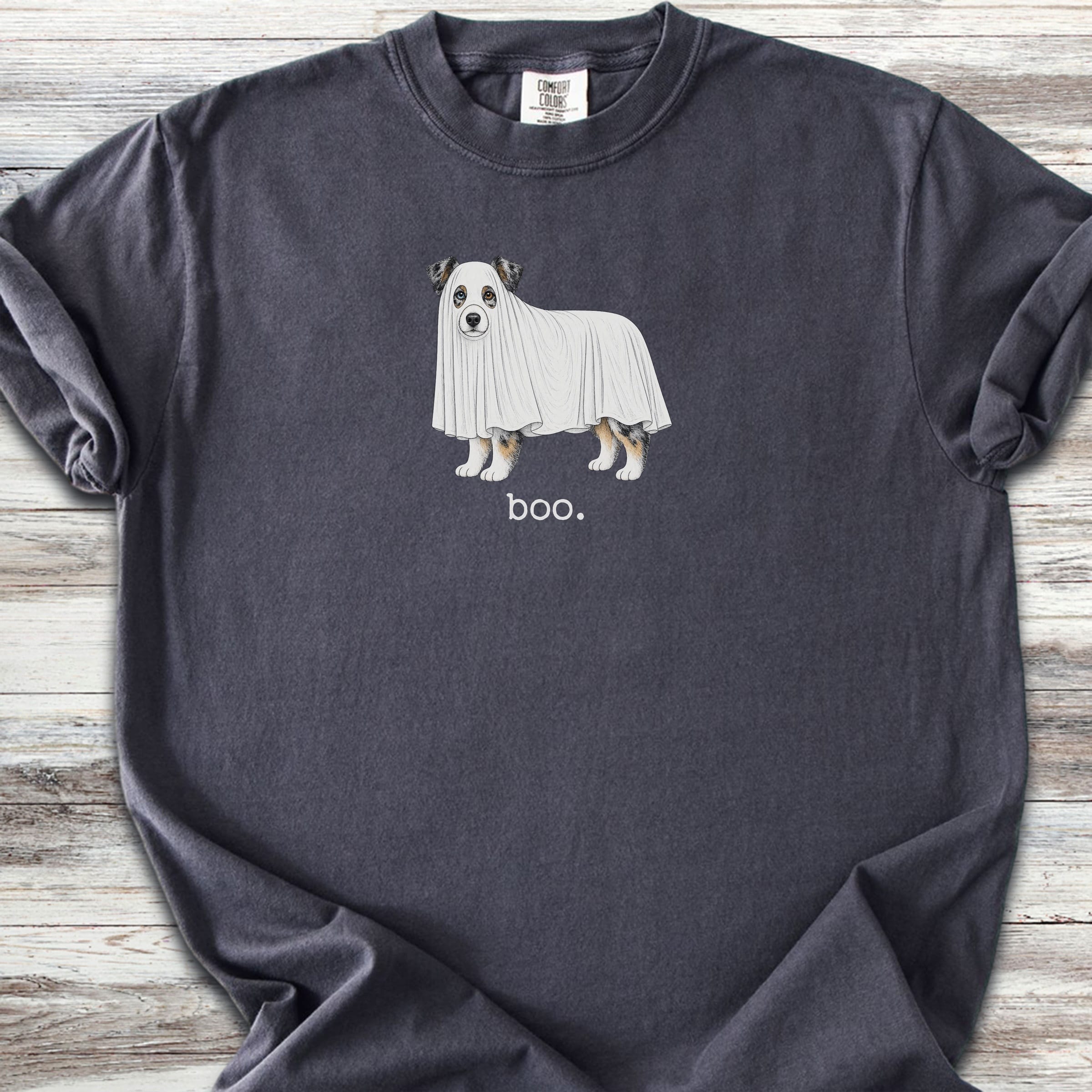 Australian Shepherd Boo - Graphite