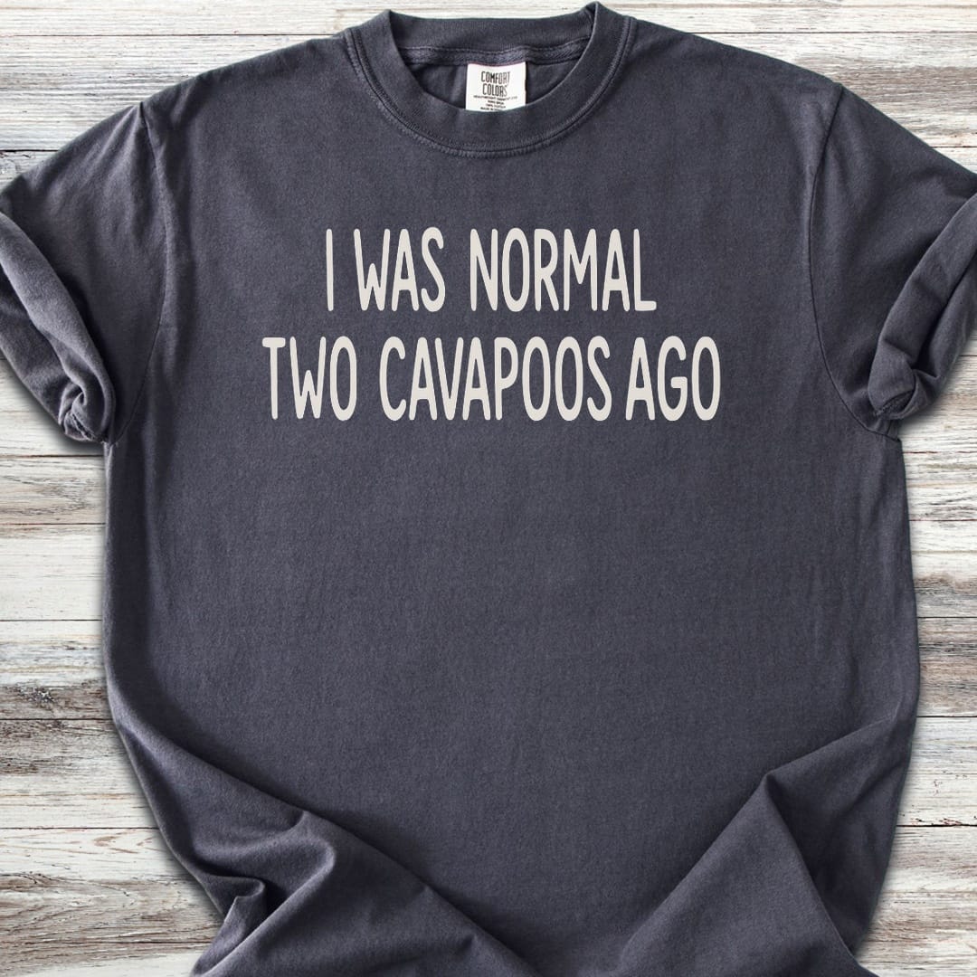 Cavapoo Normal - Graphite