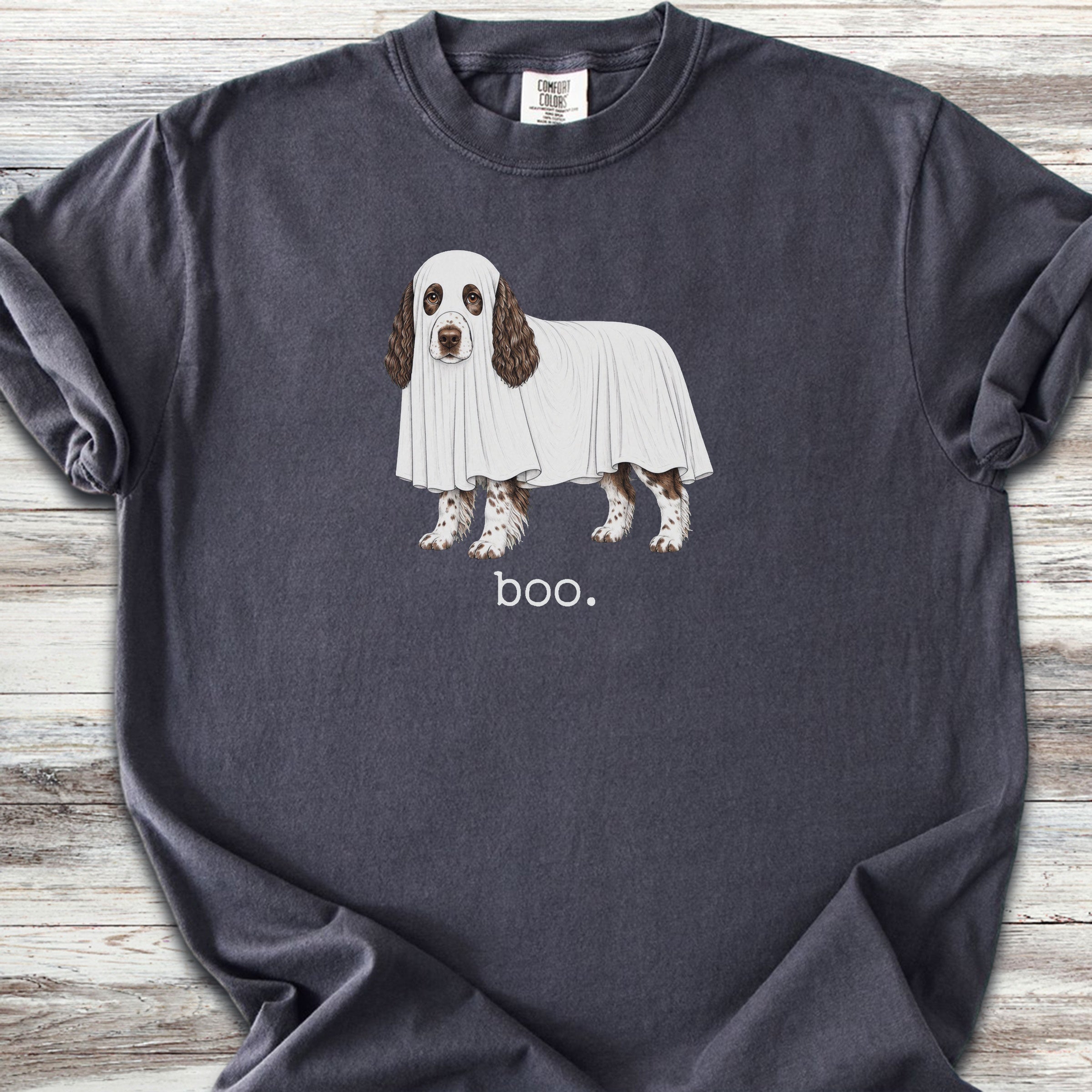 English Springer Spaniel Boo - Graphite