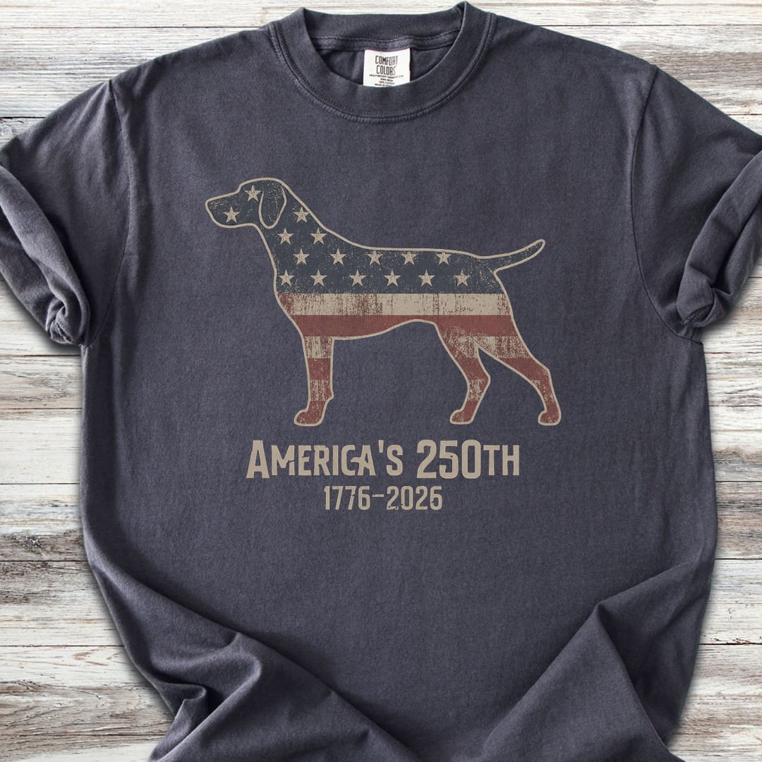 German Shorthaired Pointer 250 - Graphite