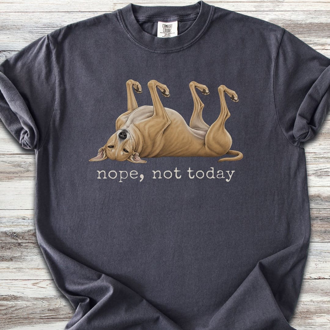 Greyhound Nope - Graphite