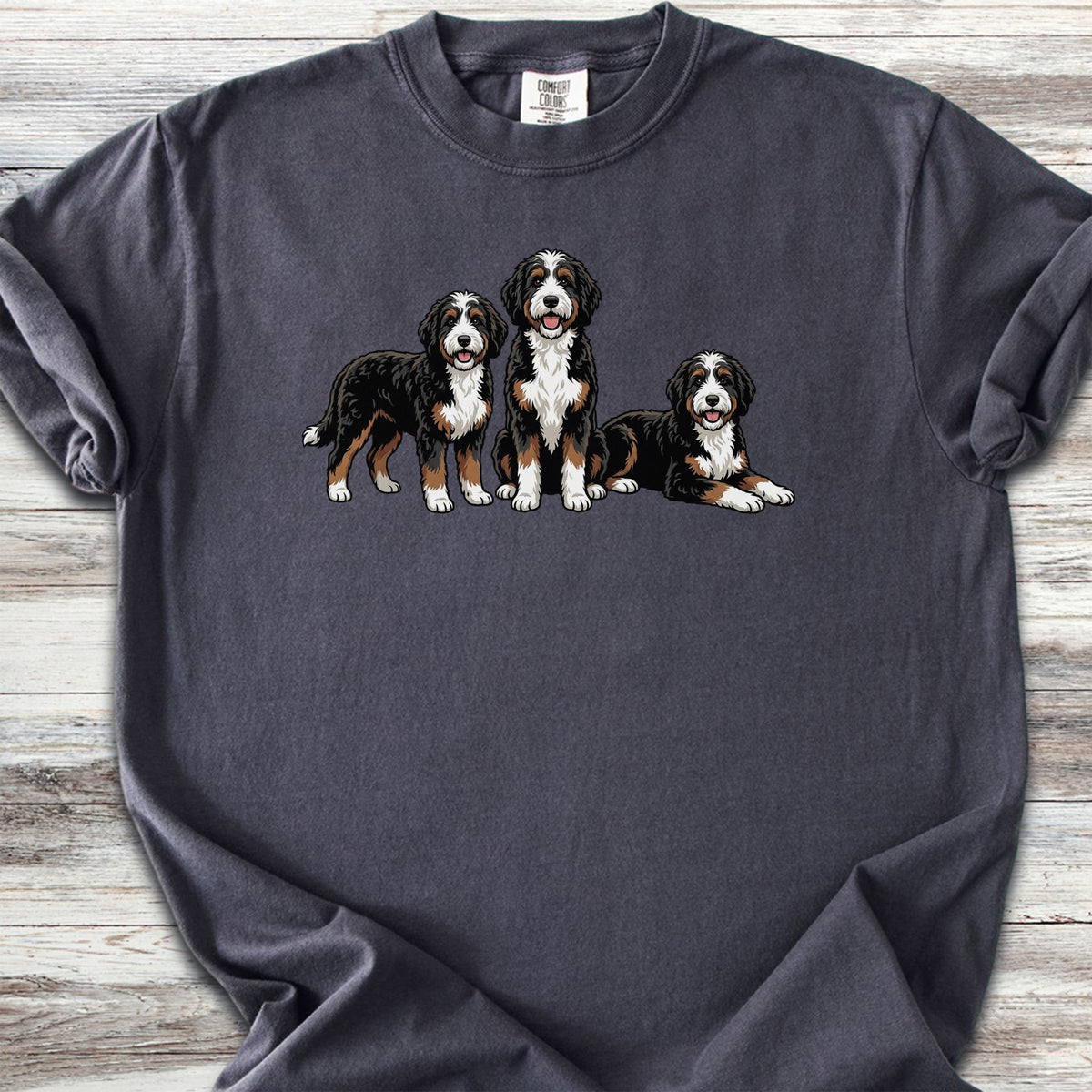 Bernedoodle Trio - Graphite