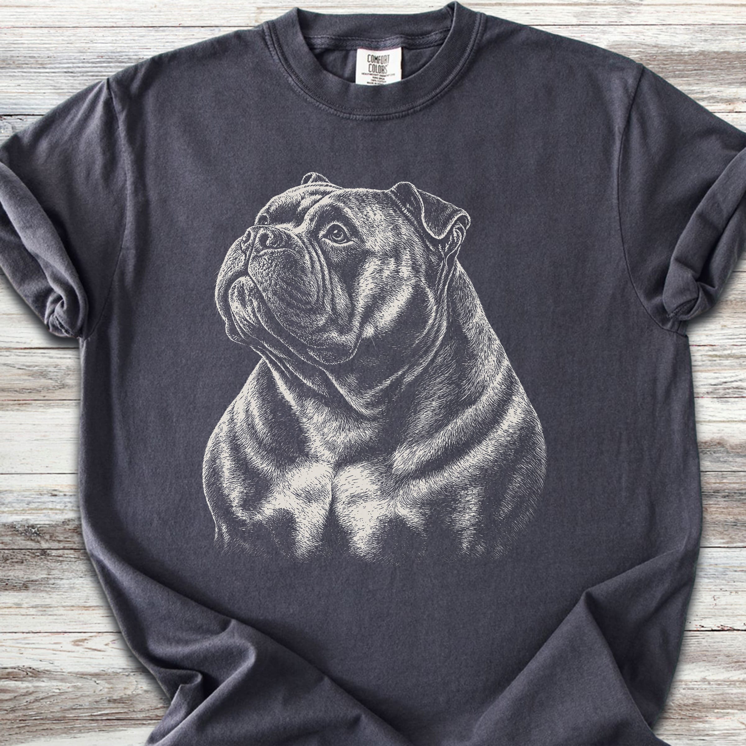 American Bully Loyalty - Graphite