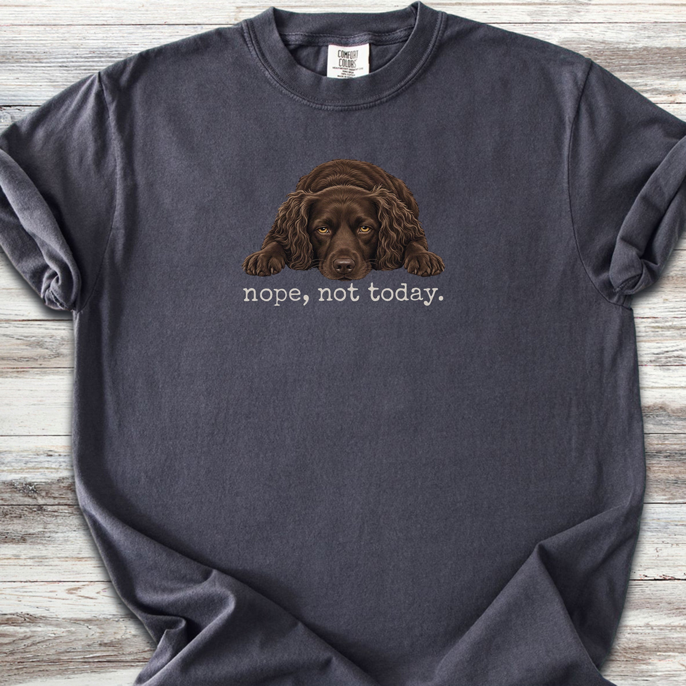 Boykin Spaniel Nope - Graphite