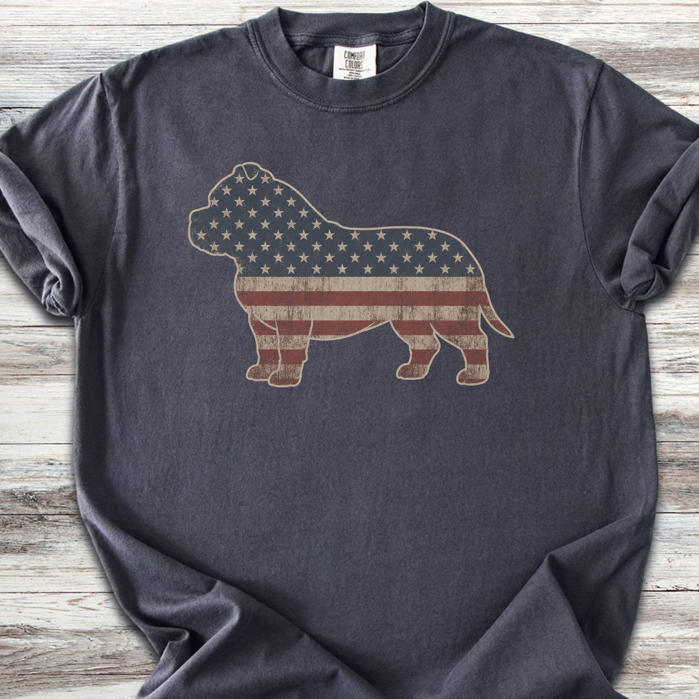 American Bully Vintage USA - Graphite