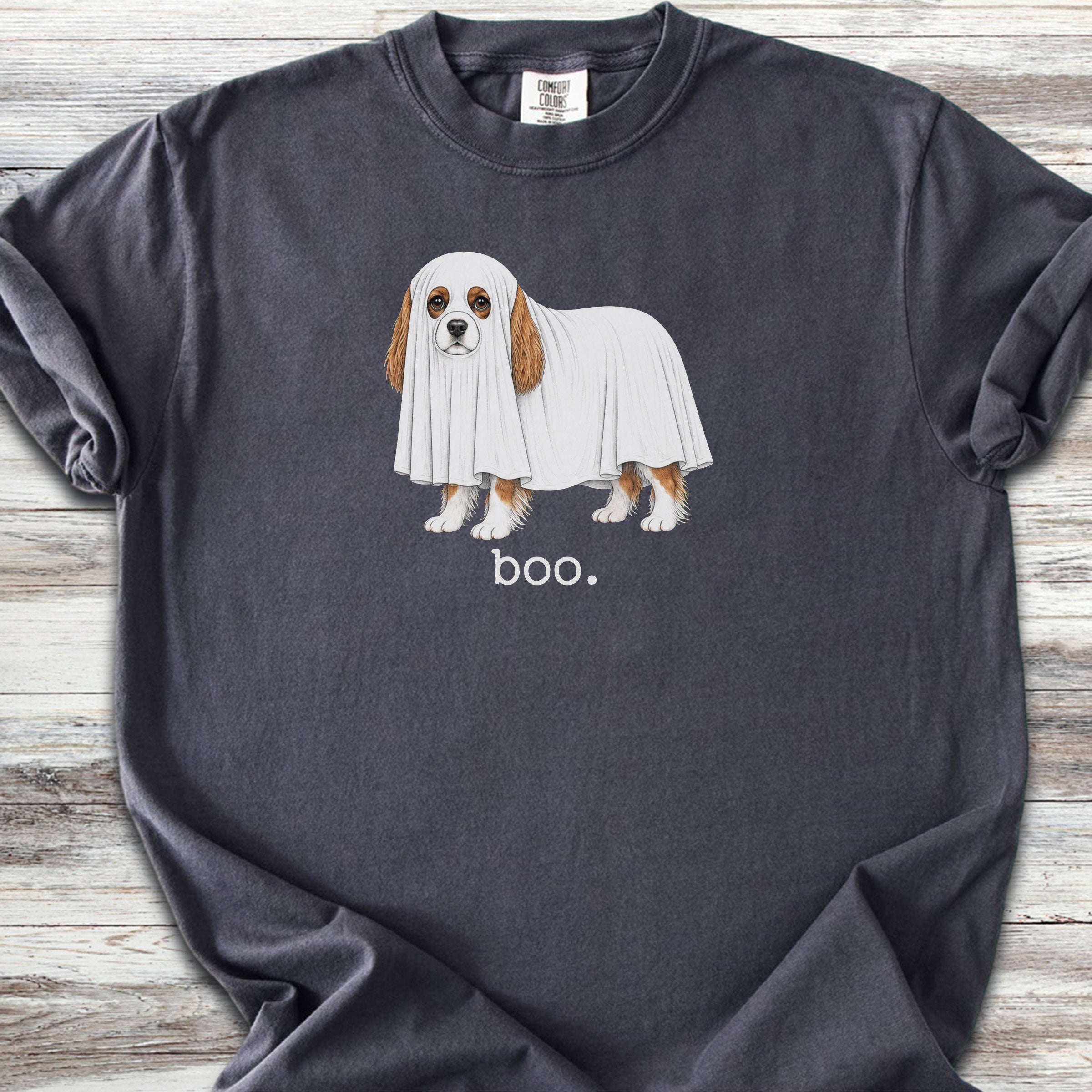 Cavalier King Charles Spaniel Boo - Graphite