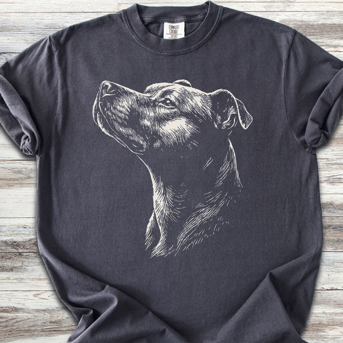 Pit Bull Loyalty - Graphite