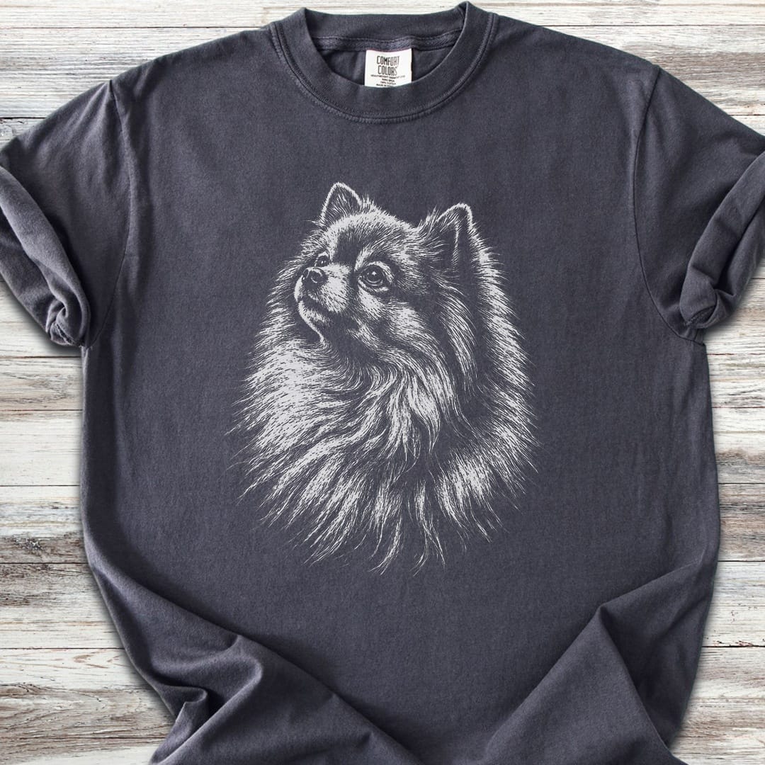 Pomeranian Loyalty - Graphite