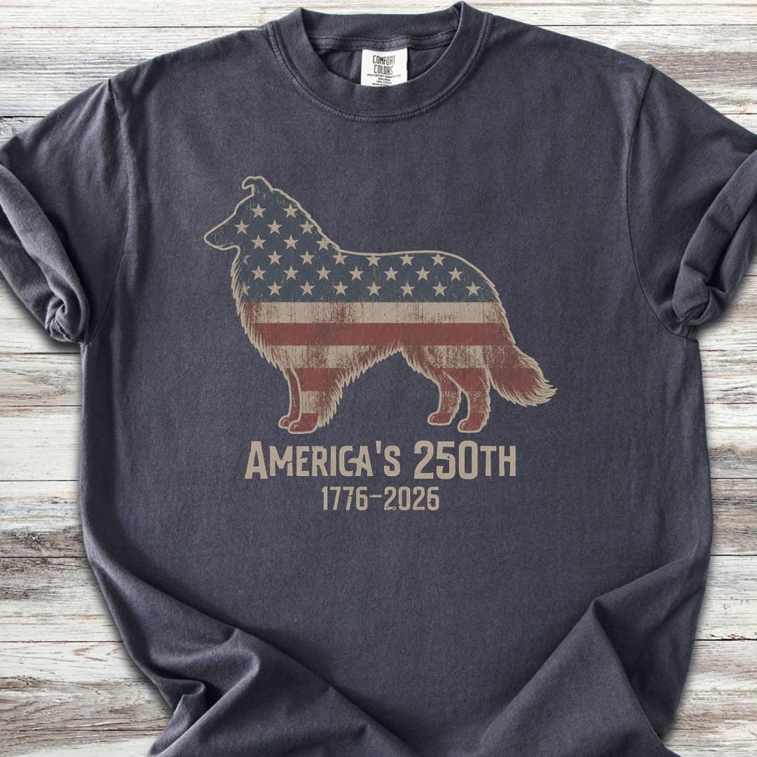 Rough Collie 250 - Graphite