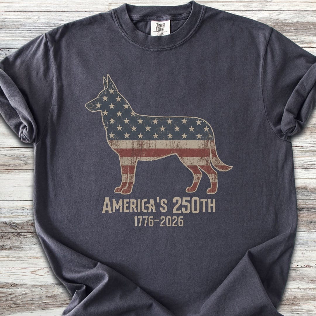 Belgian Malinois 250 - Graphite
