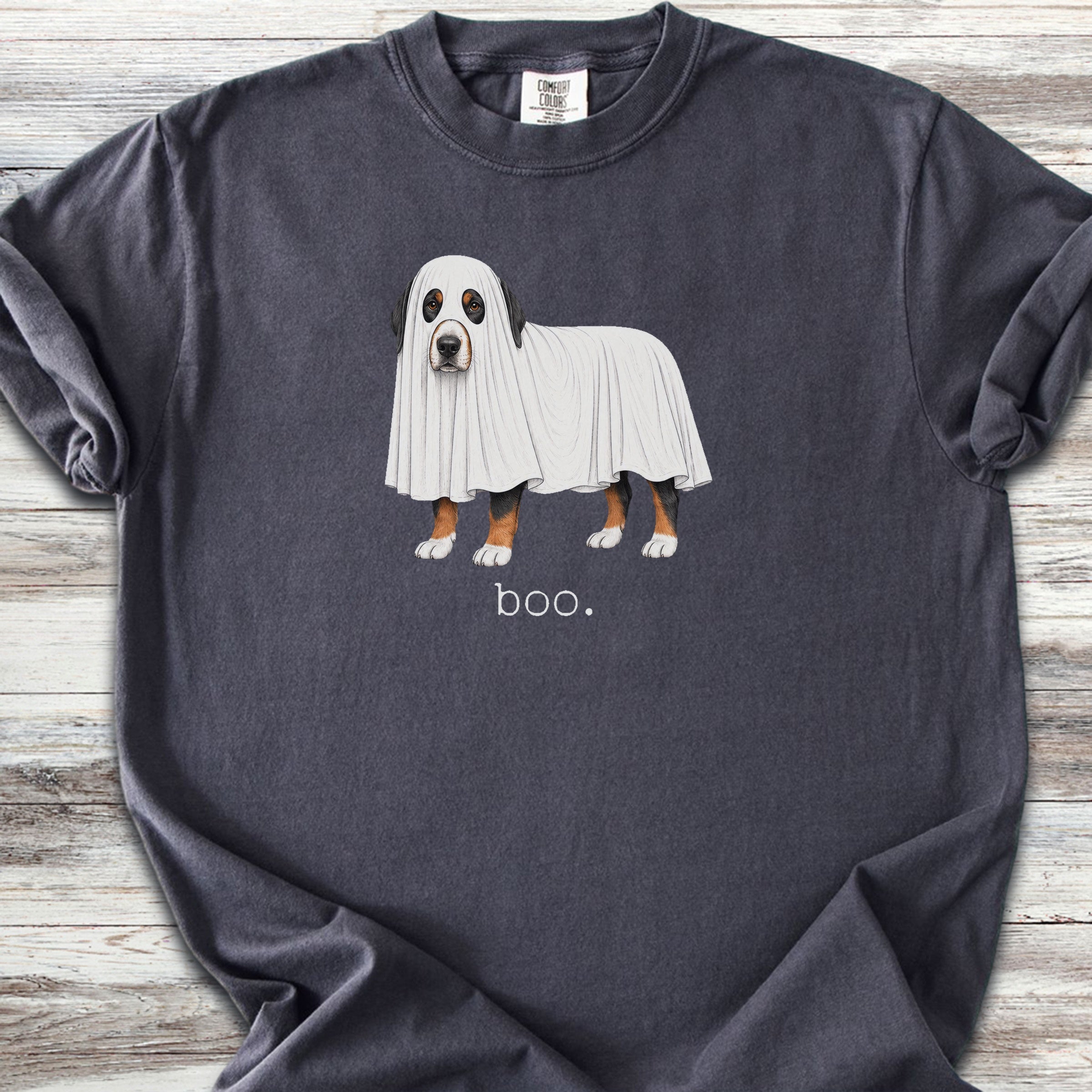 Swiss Mountain Dog Boo - Graphite