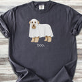 Soft Coated Wheaten Terrier Boo - Graphite