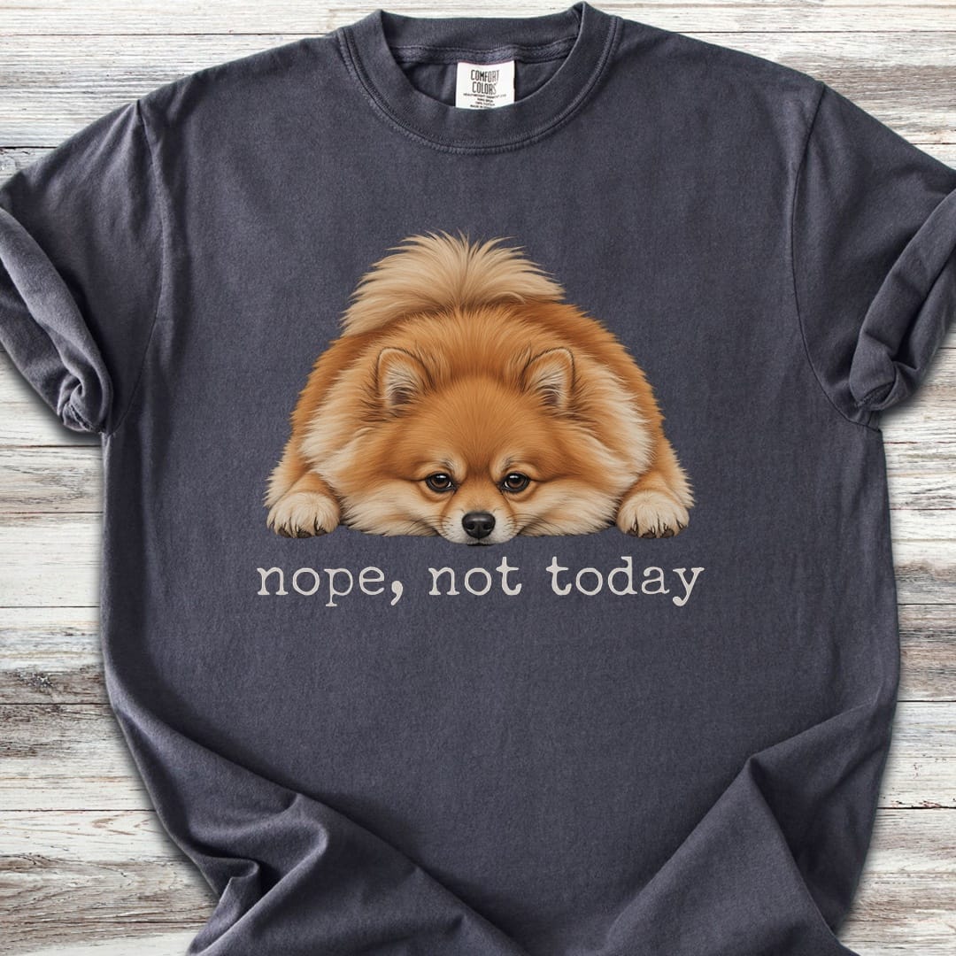 Pomeranian Nope - Graphite