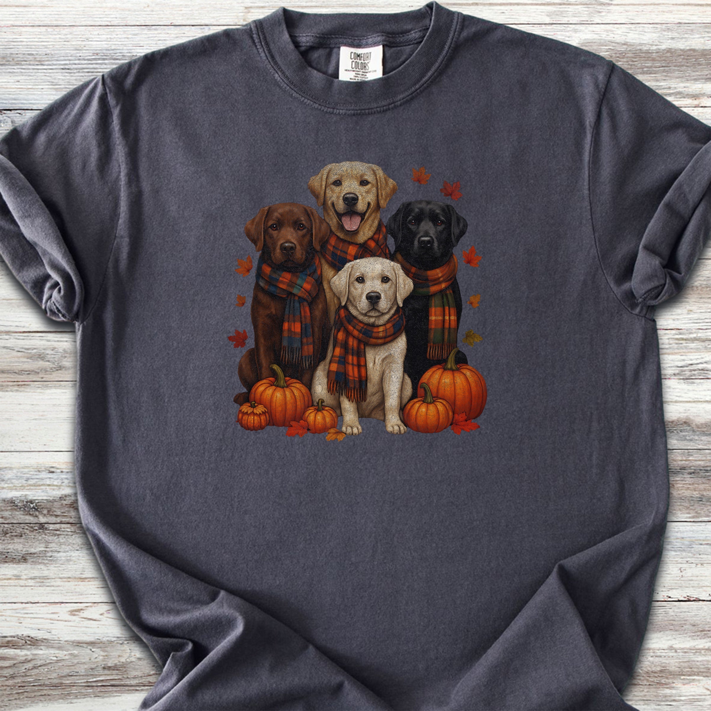 Labrador Retriever Fall - Graphite