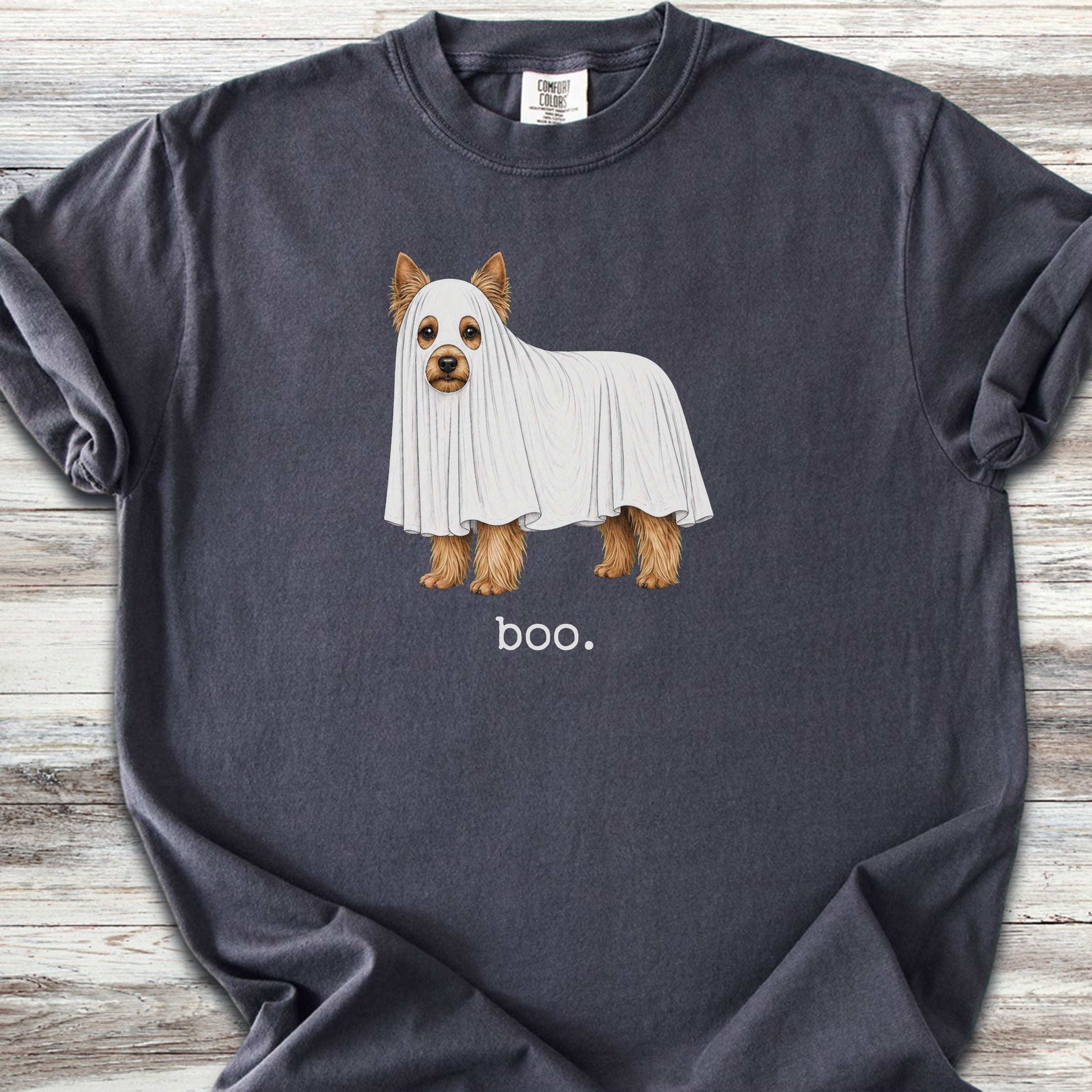 Yorkshire Terrier Boo - Graphite