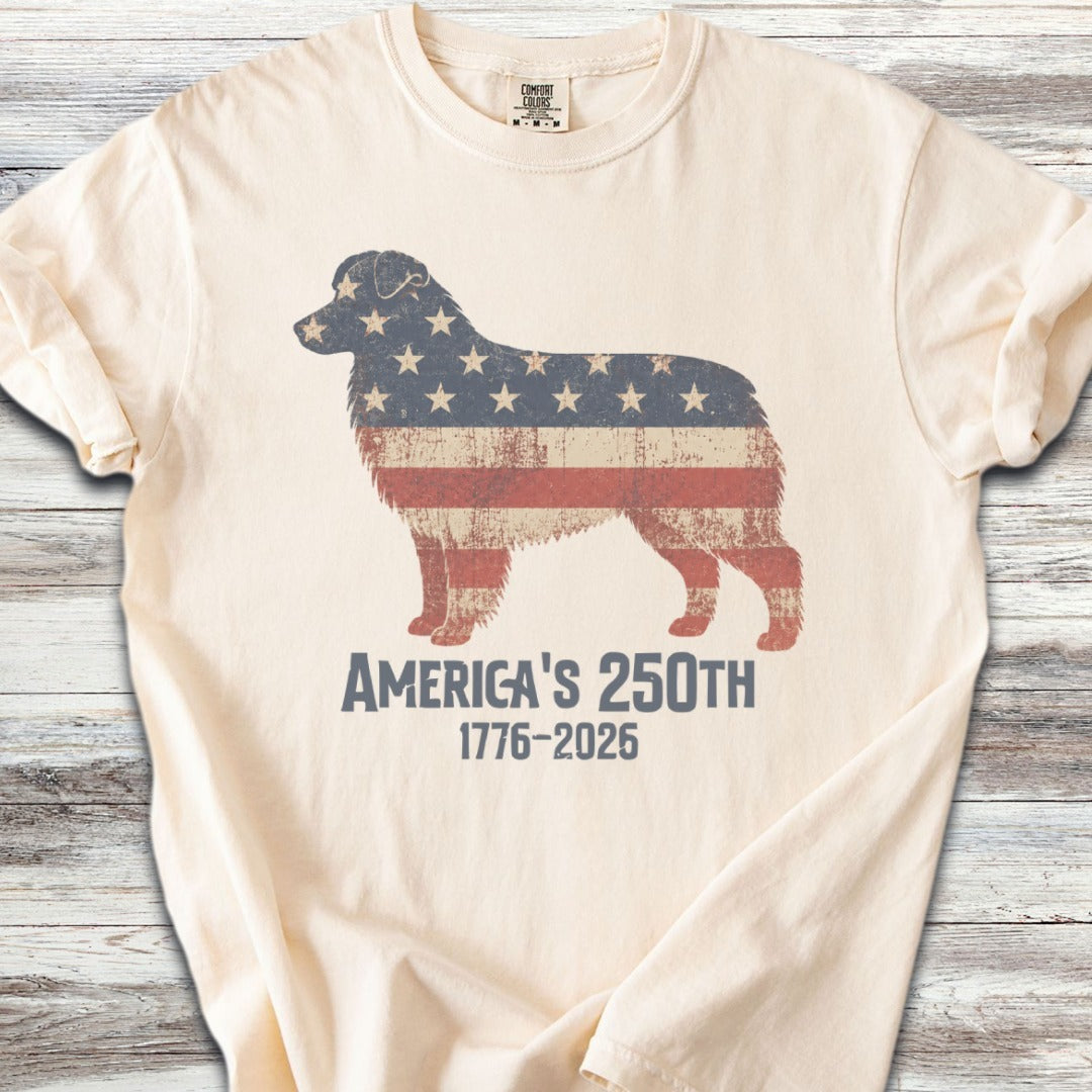 Australian Shepherd 250 - Ivory
