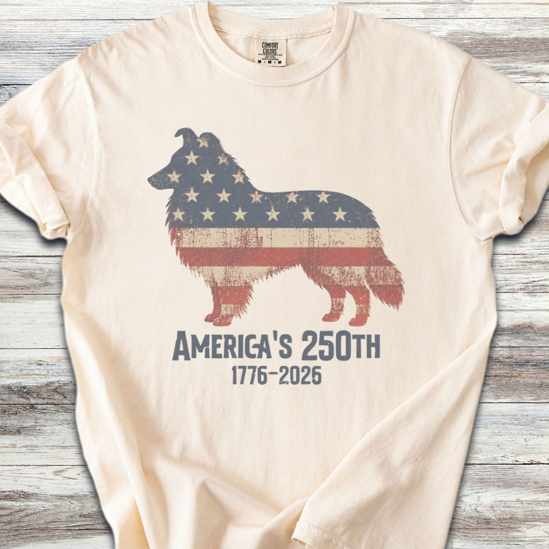 Shetland Sheepdog 250 - Ivory