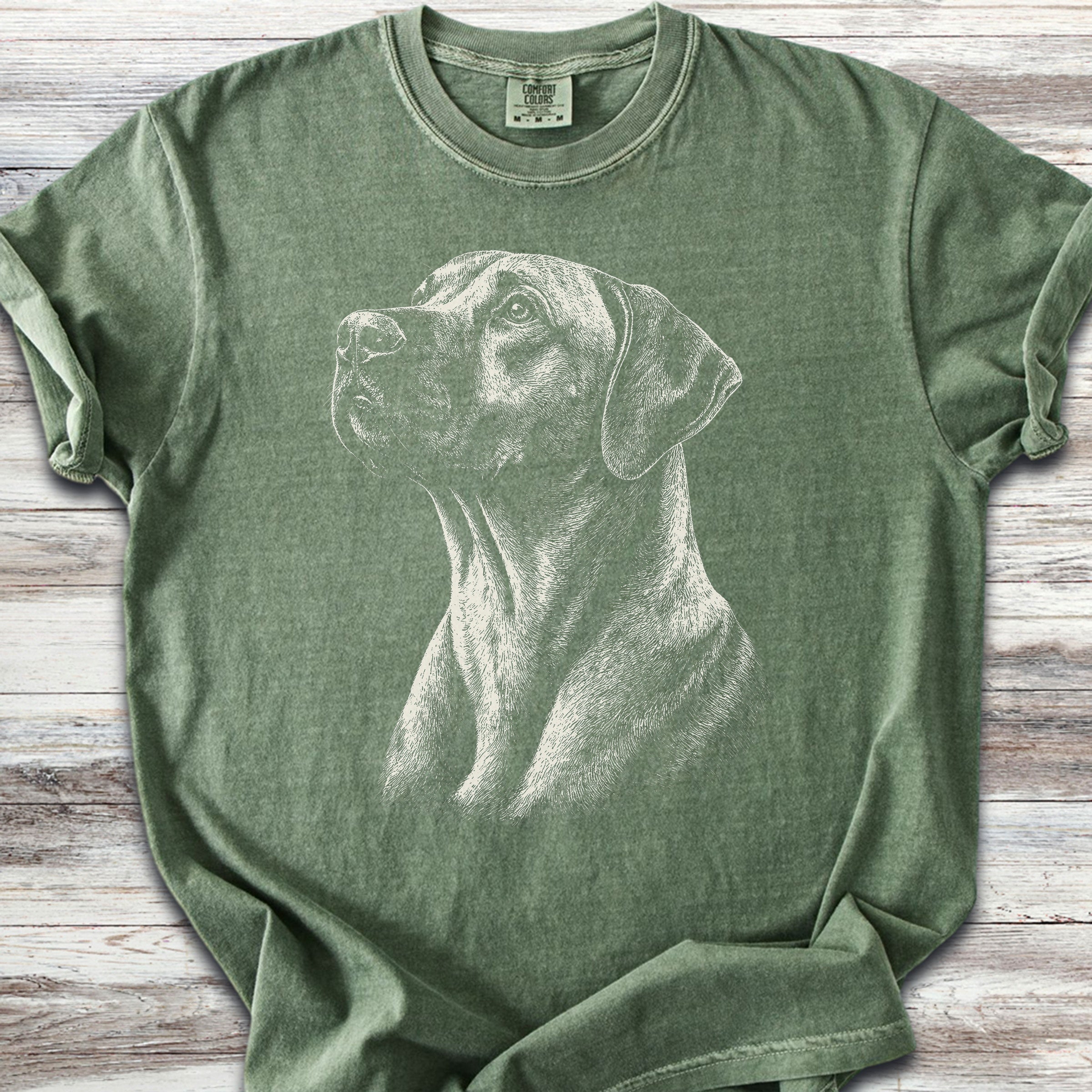 Rhodesian Ridgeback Loyalty - Moss