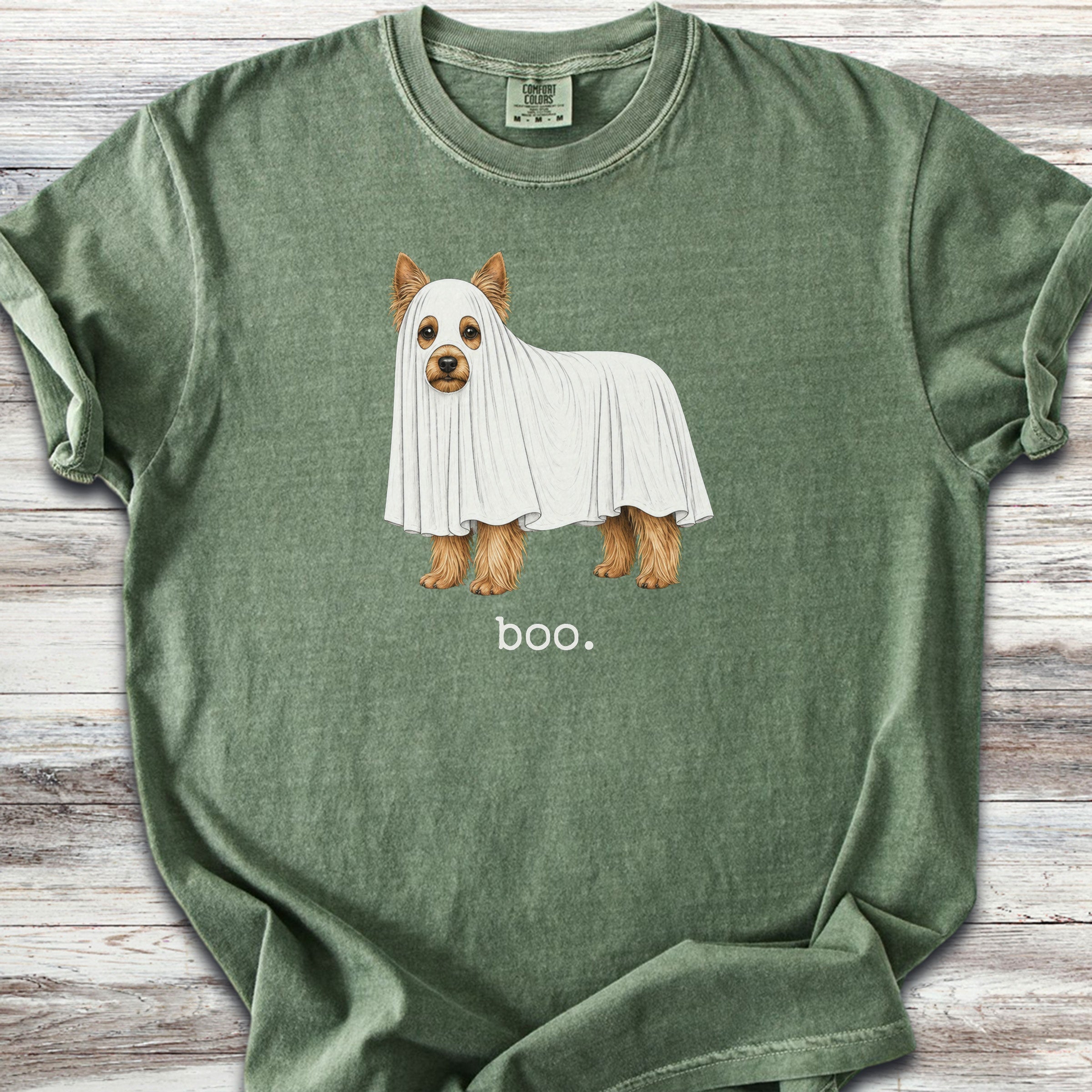 Yorkshire Terrier Boo - Moss