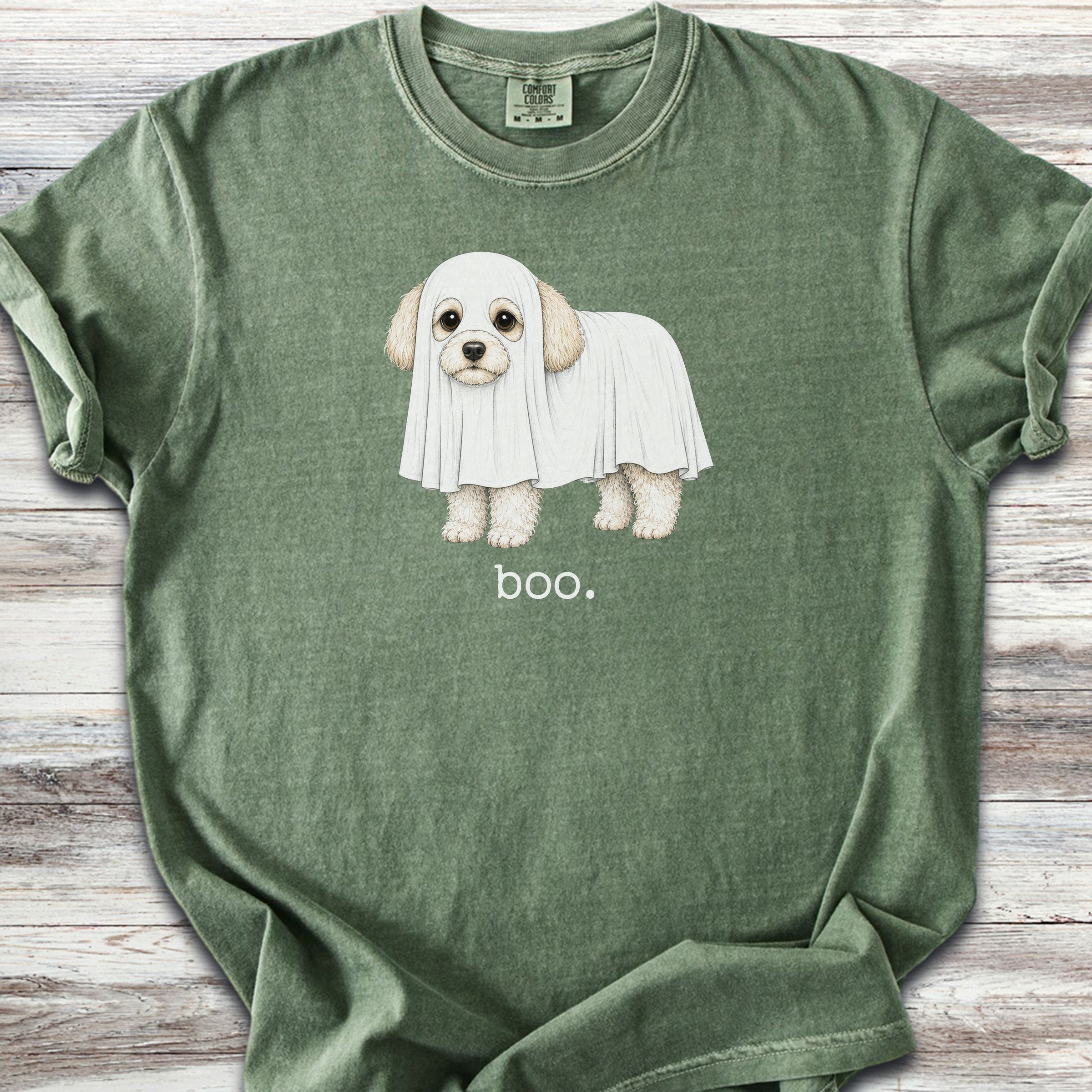 Maltipoo Boo - Moss