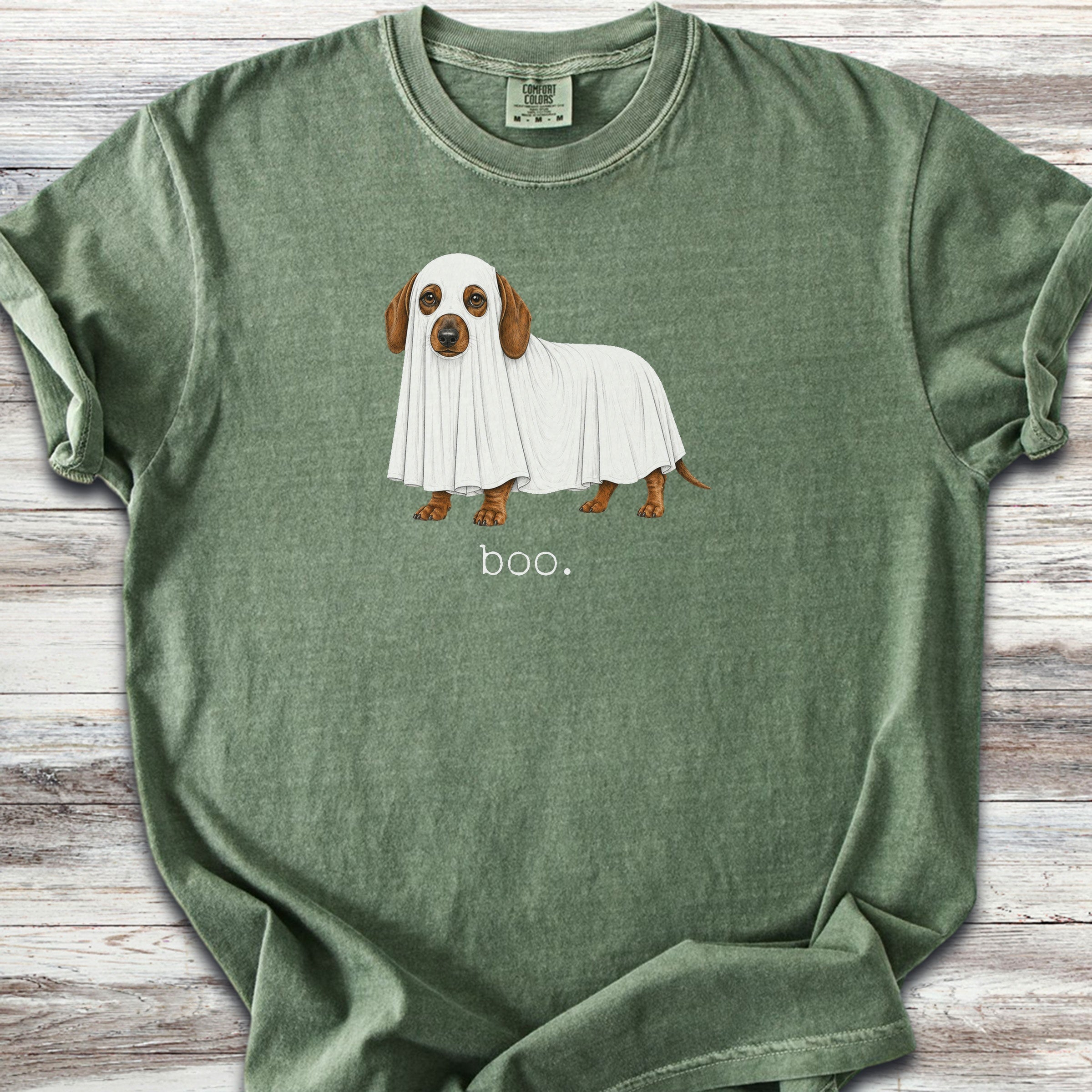 Dachshund Boo - Moss