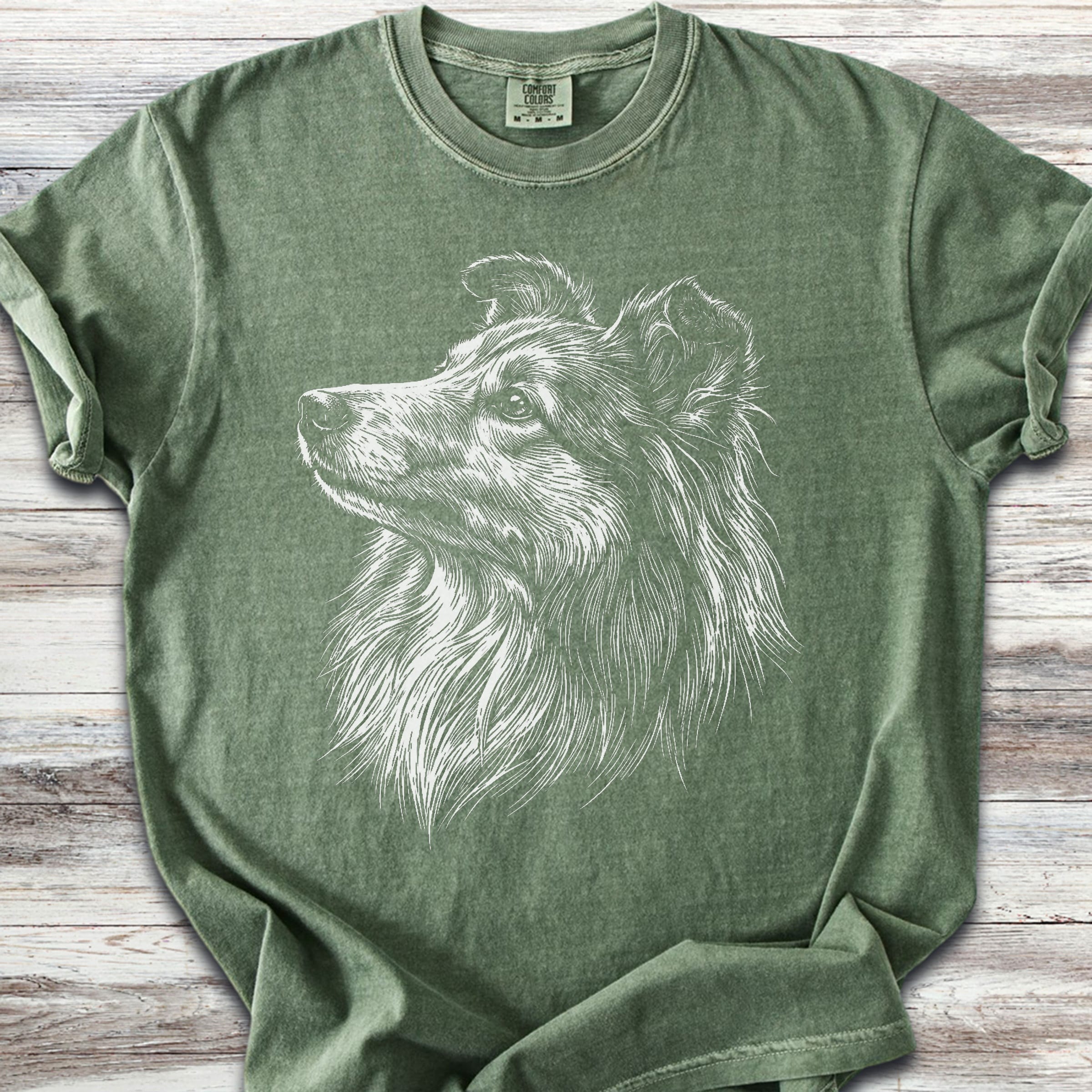 Shetland Sheepdog Loyalty - Moss