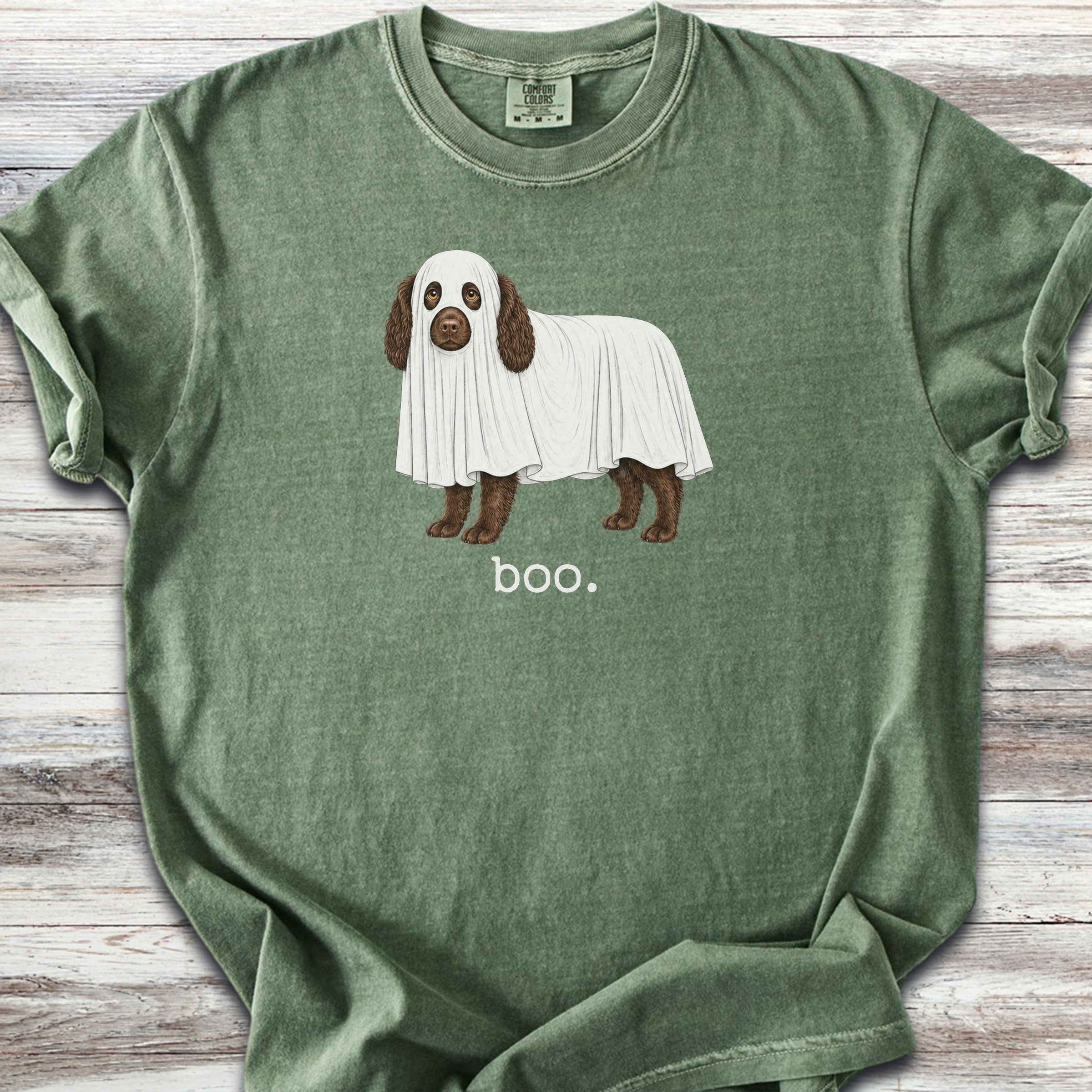 Boykin Spaniel Boo - Moss