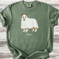 Rough Collie Boo - Moss