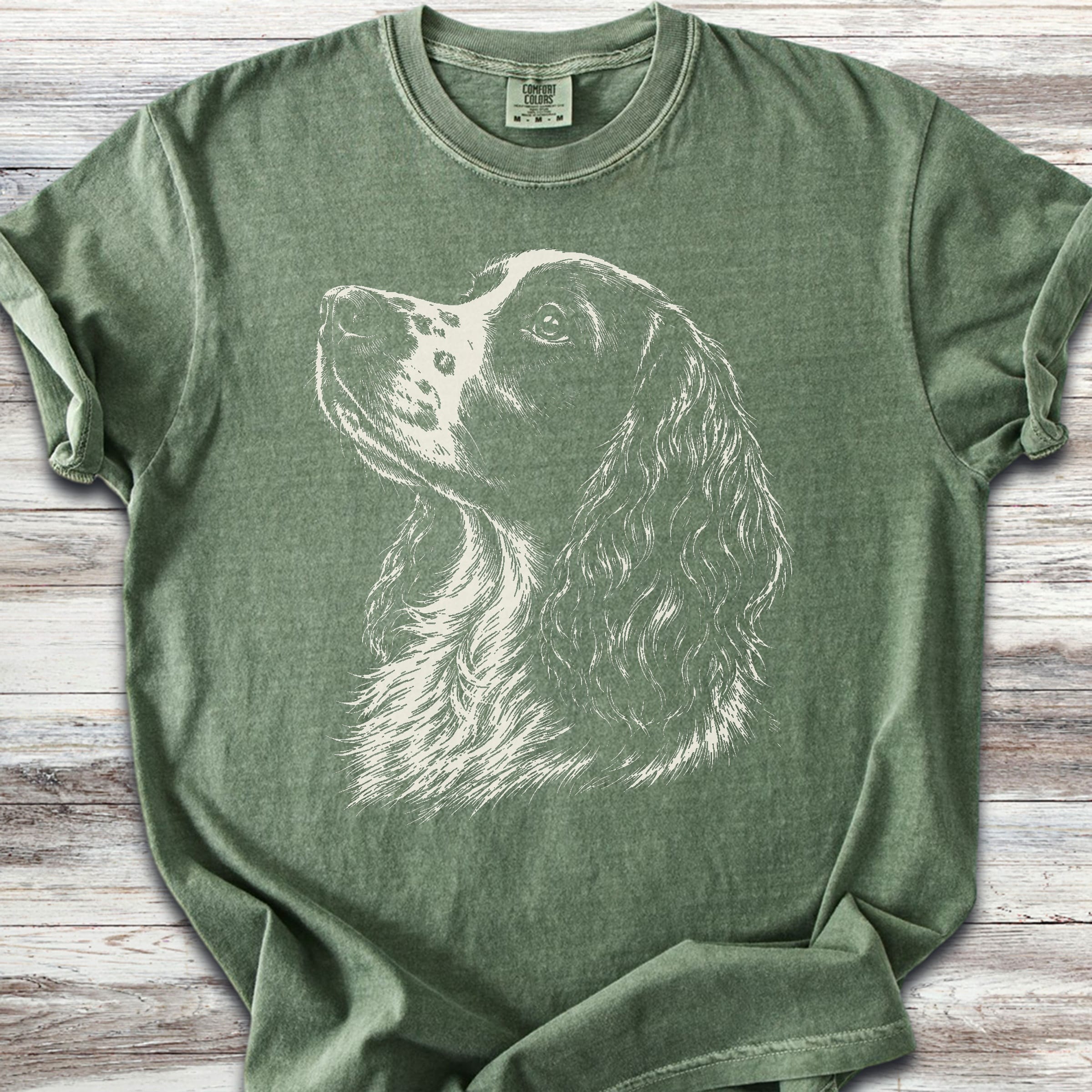 English Springer Spaniel Loyalty - Moss