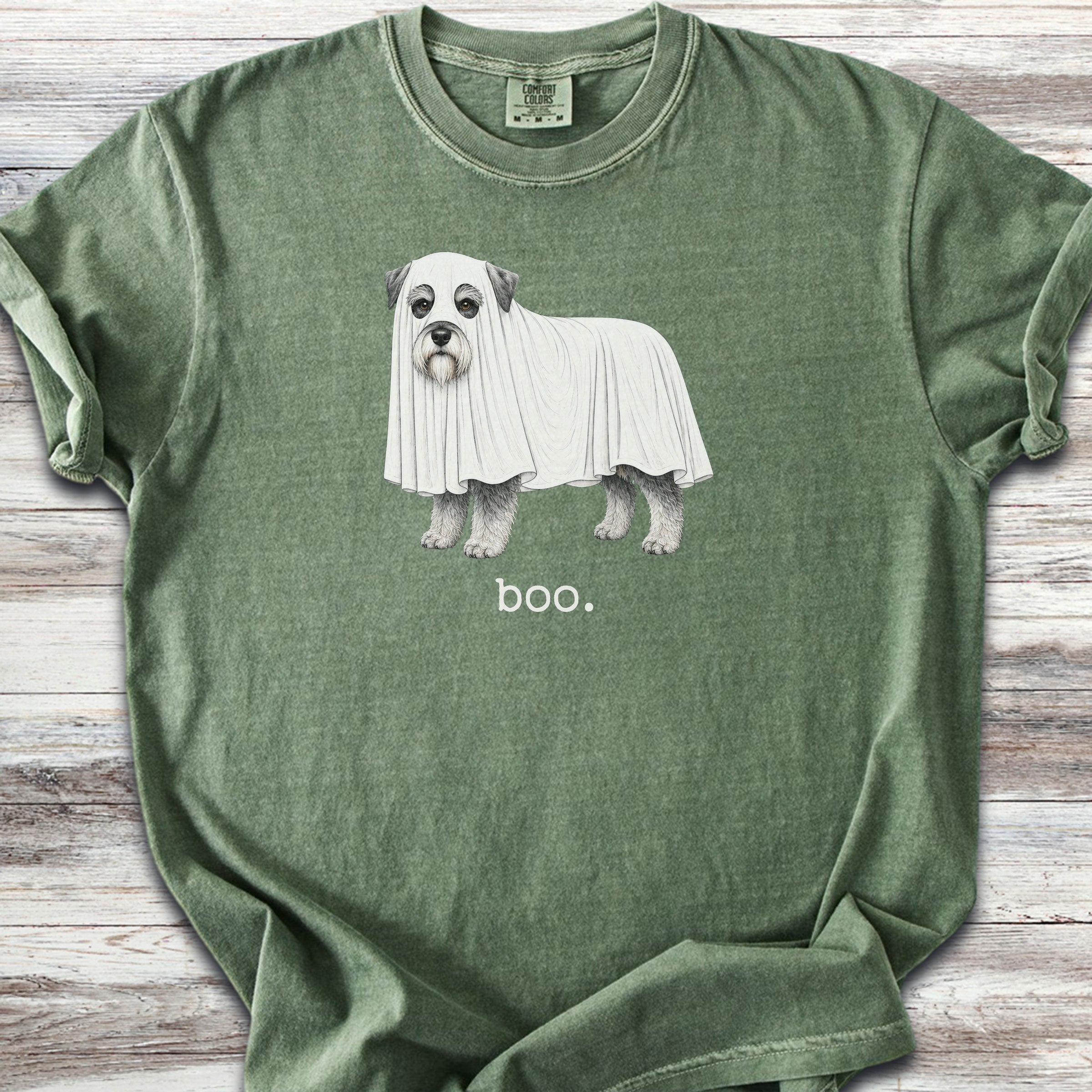 Miniature Schnauzer Boo - Moss