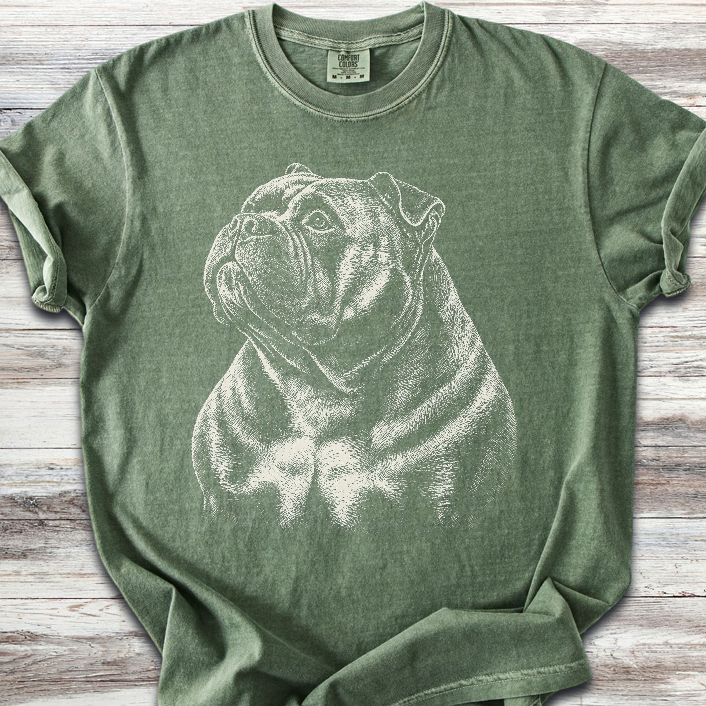 American Bully Loyalty - Moss