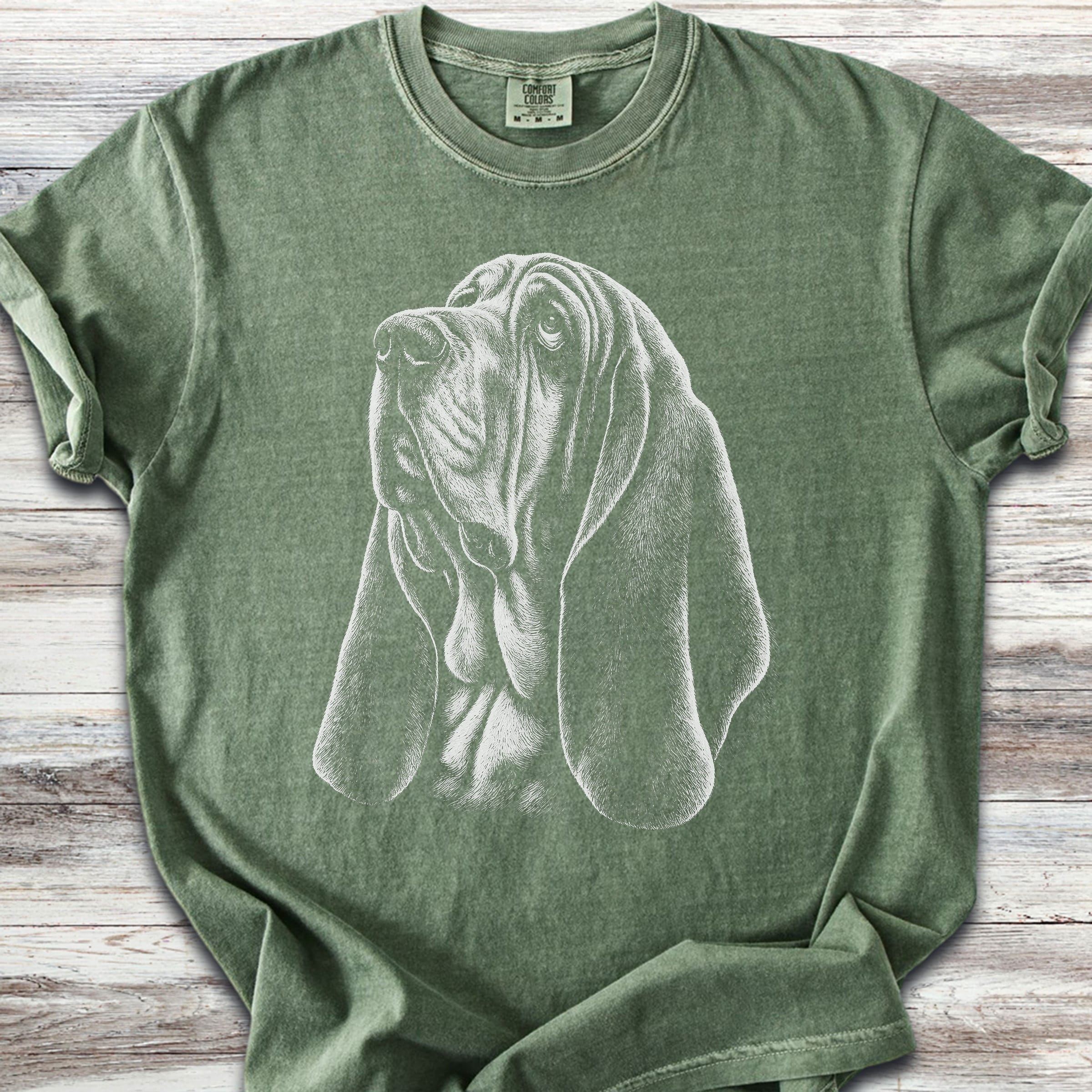Basset Hound Loyalty - Moss