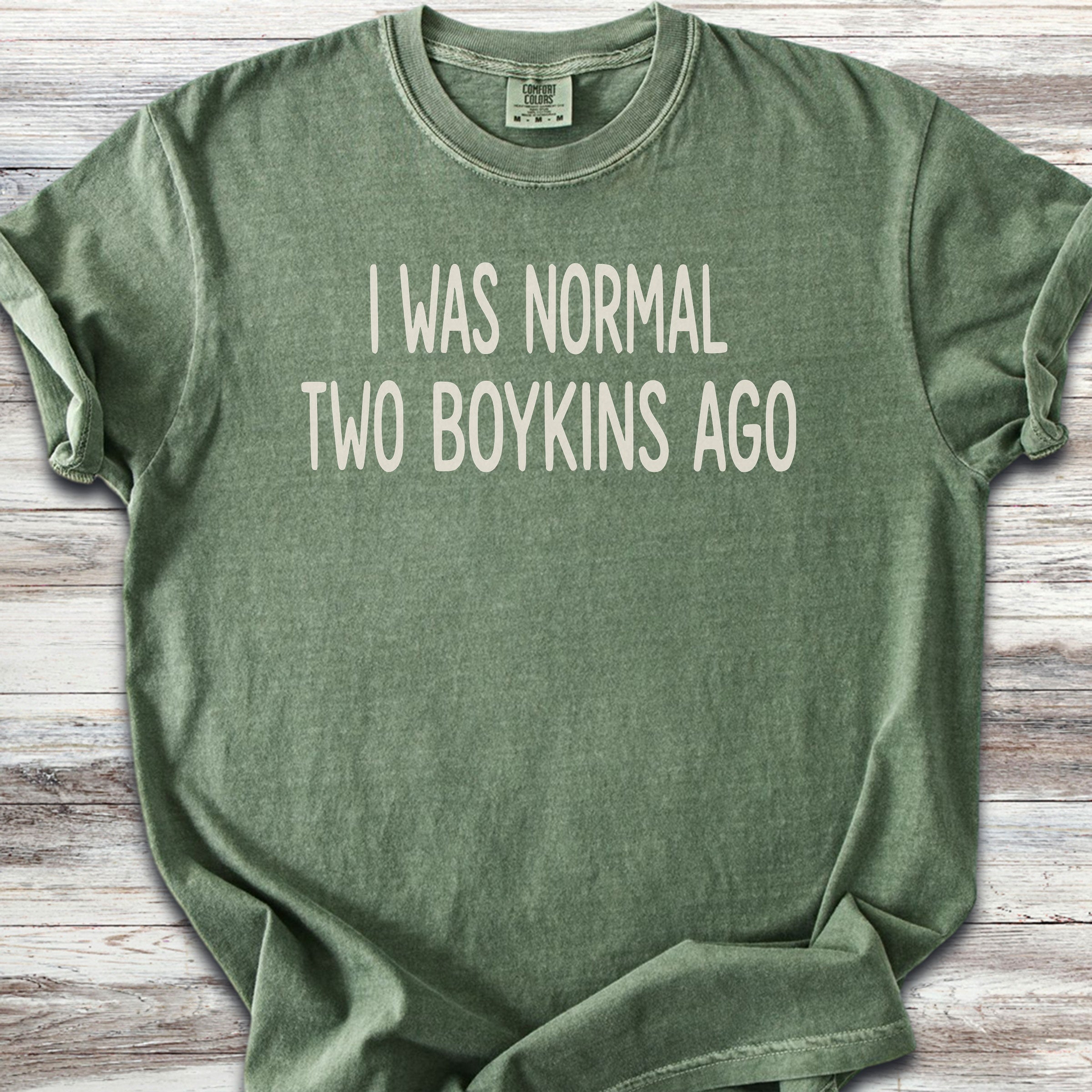 Boykin Spaniel Normal - Moss