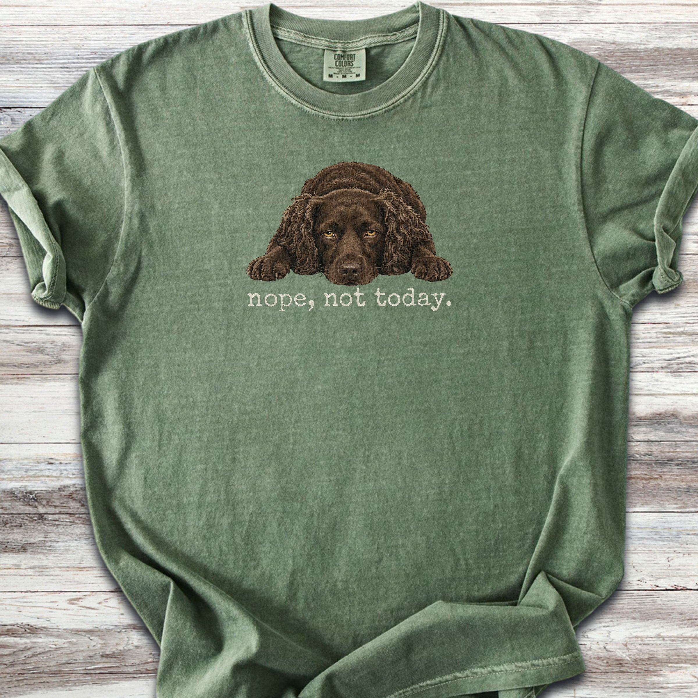 Boykin Spaniel Nope - Moss