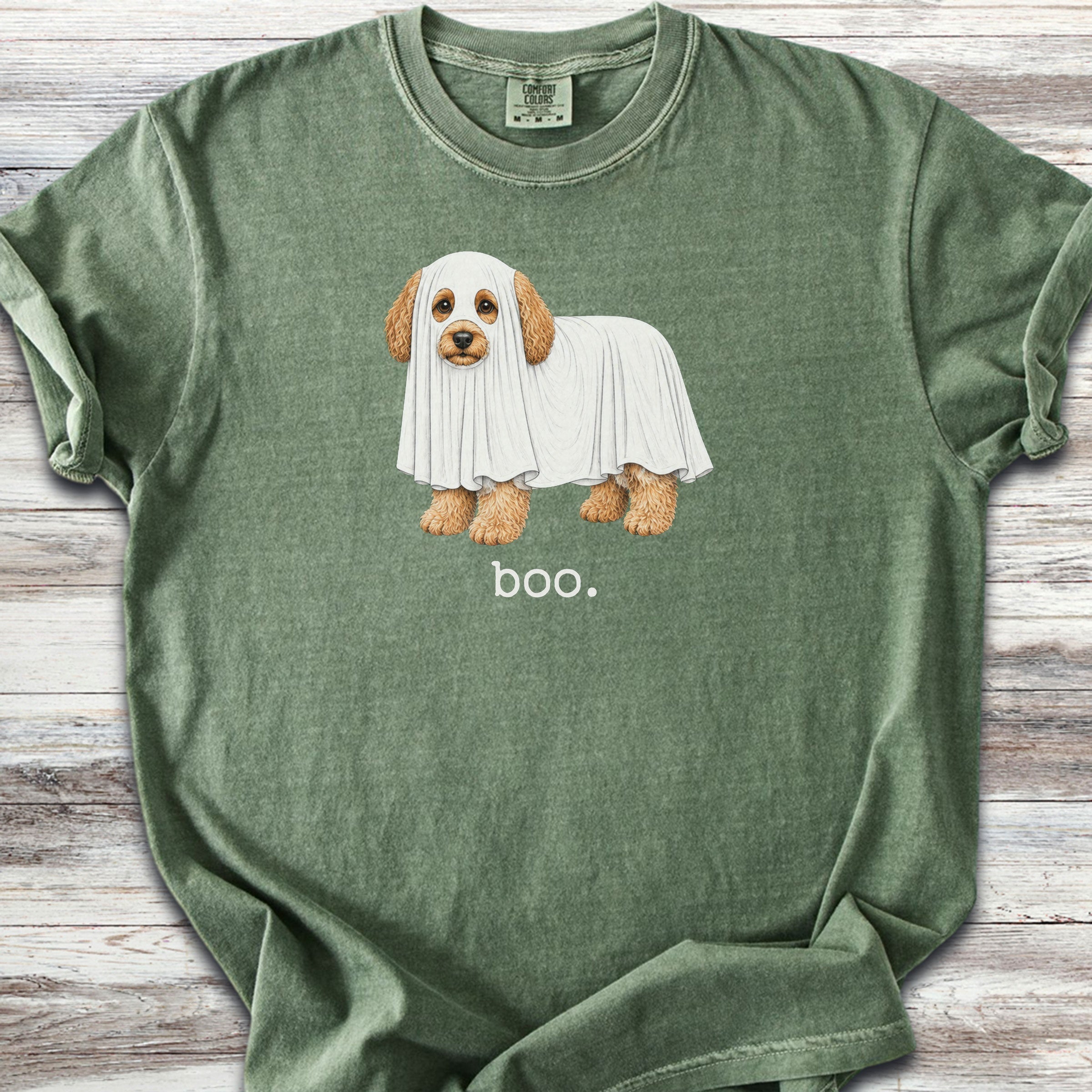 Cavapoo Boo - Moss