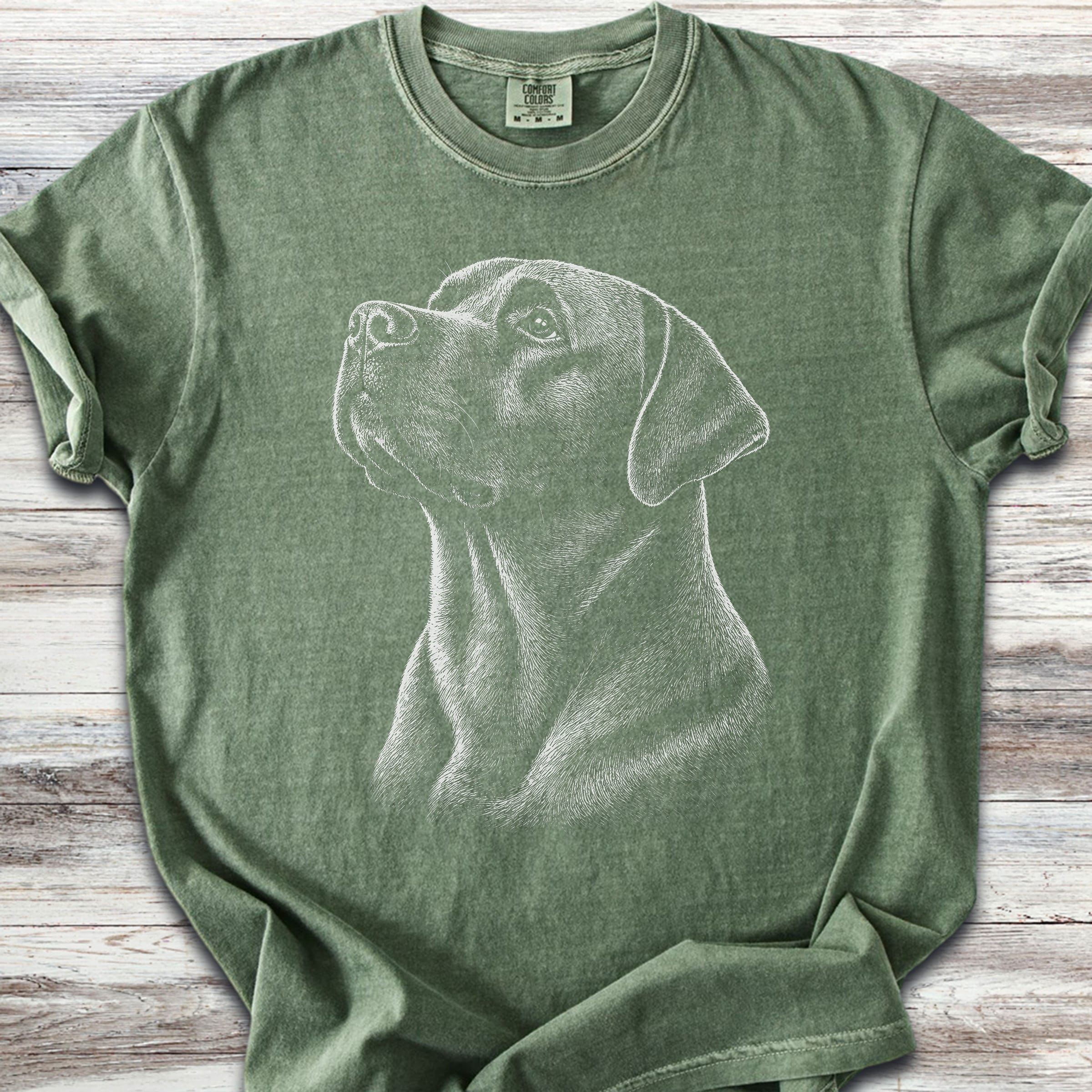 Labrador Retriever Loyalty - Moss