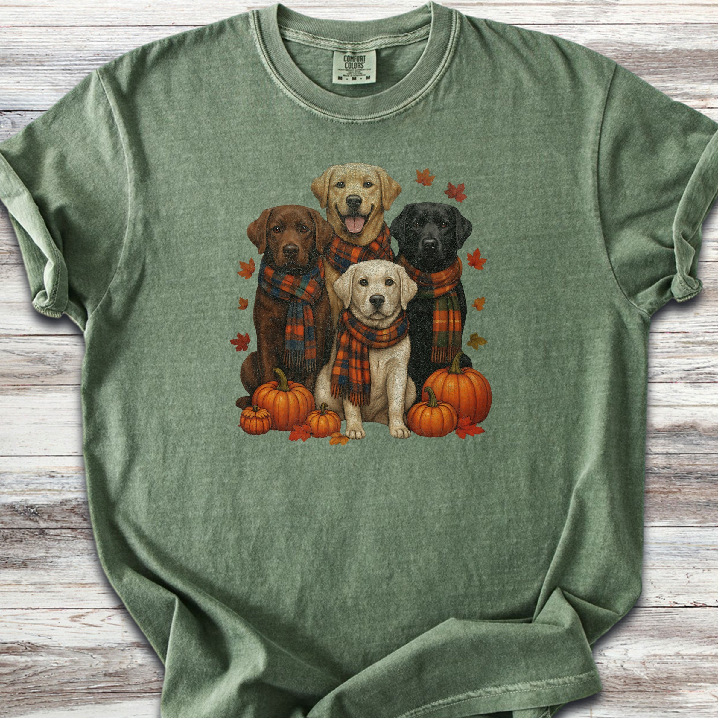 Labrador Retriever Fall - Moss
