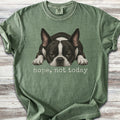 Boston Terrier Nope - Moss