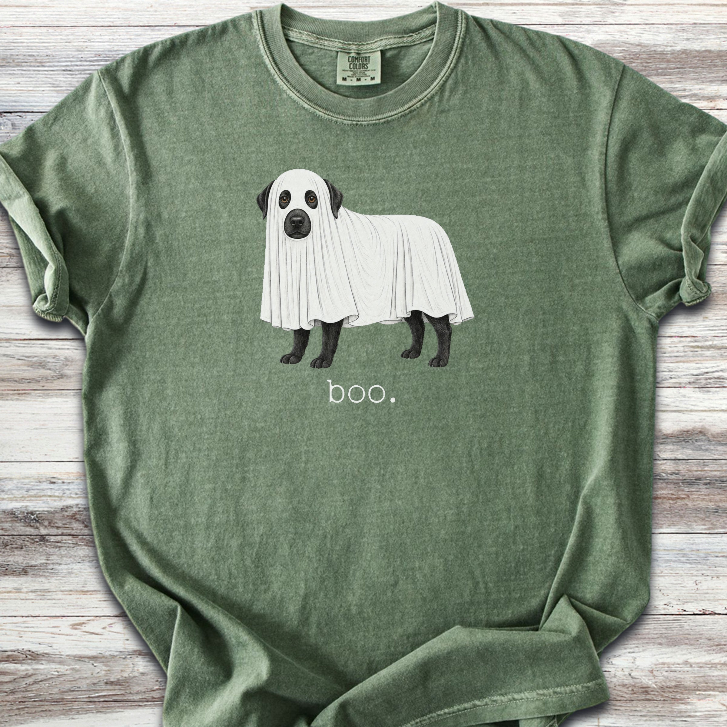 Labrador Retriever Black Boo - Moss