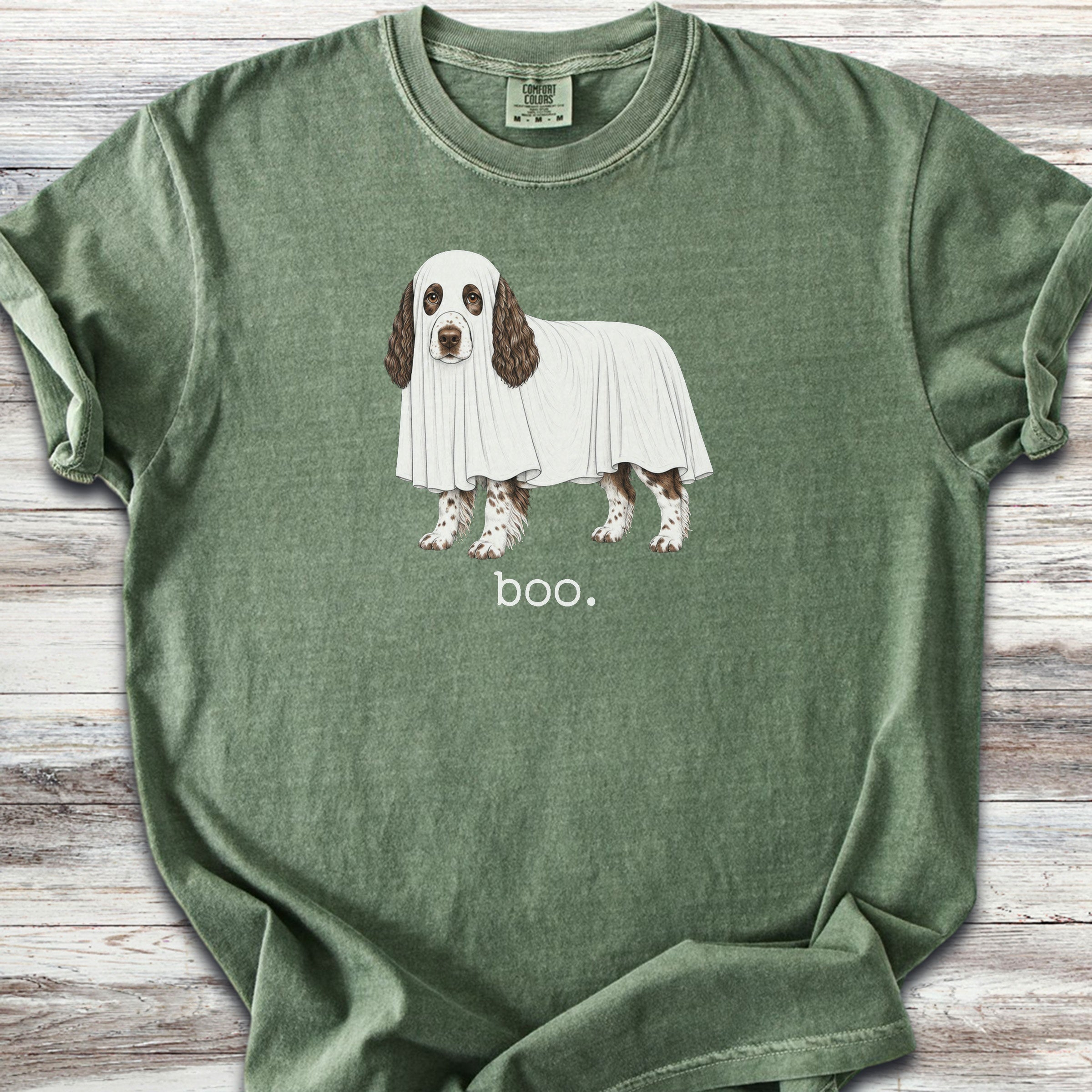 English Springer Spaniel Boo - Moss