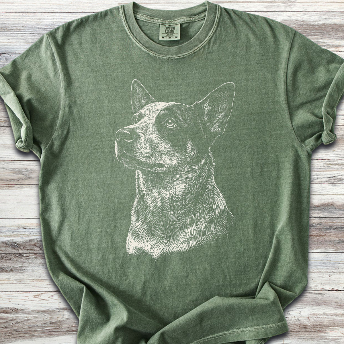 Australian Cattle Dog Loyalty - Moss