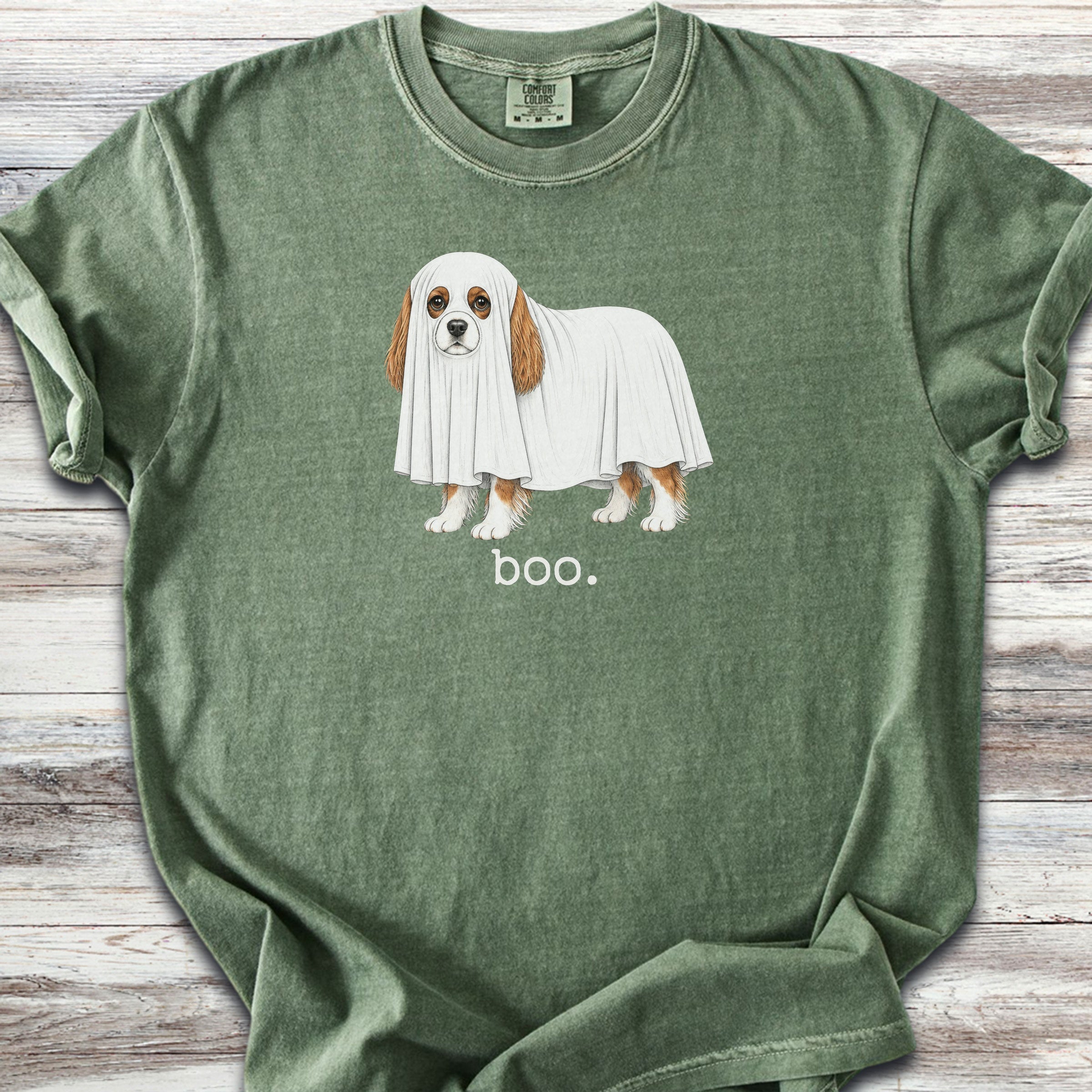 Cavalier King Charles Spaniel Boo - Moss
